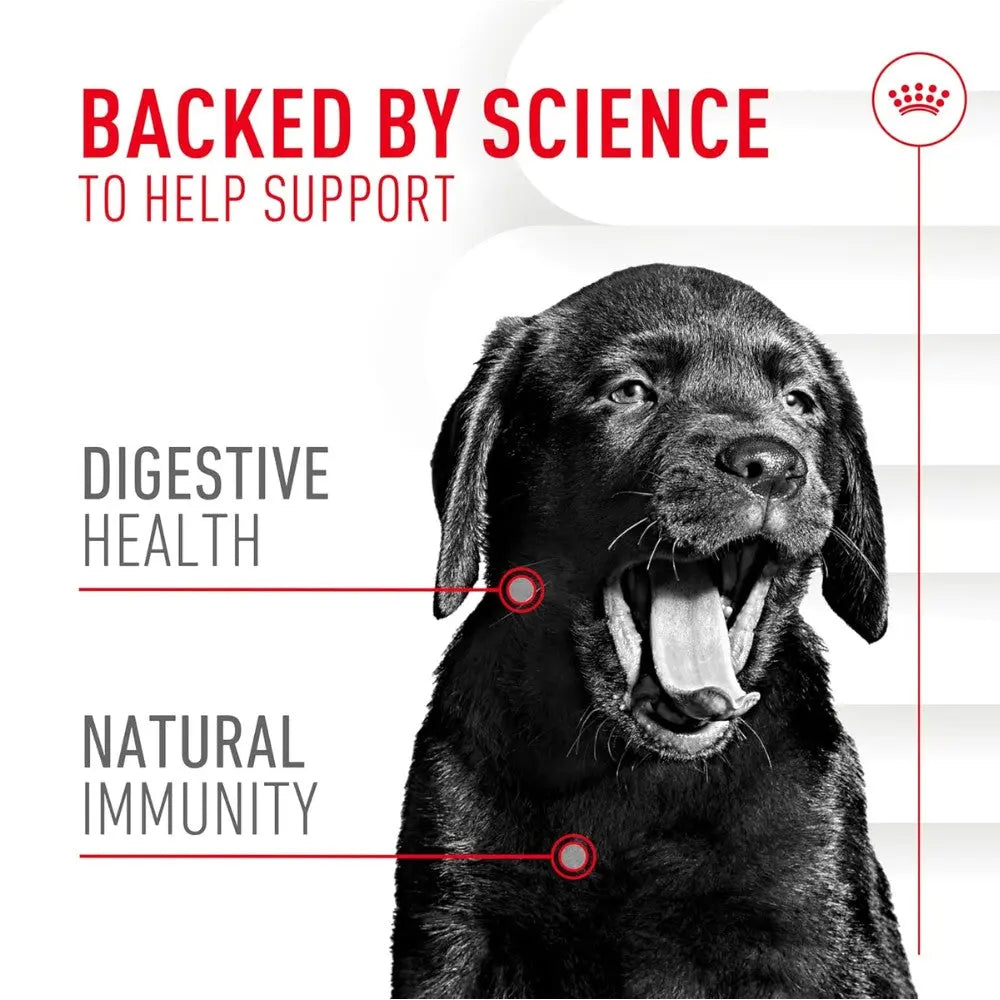 Royal Canin Immune & Digestion Support Chews Puppy 100 g Snack para Cachorros al mejor precio -todoastorenimal.com