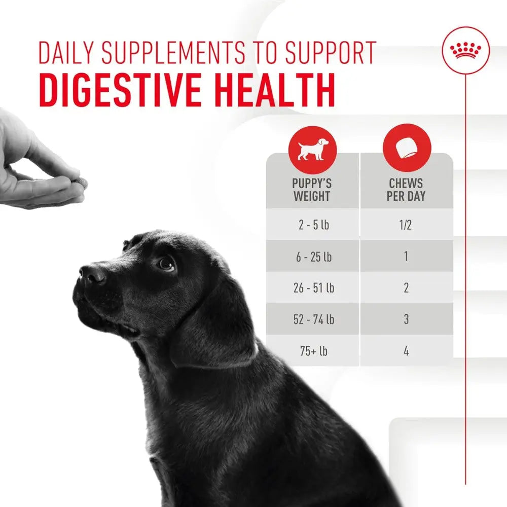 Royal Canin Immune & Digestion Support Chews Puppy 100 g Snack para Cachorros al mejor precio -todoastorenimal.com