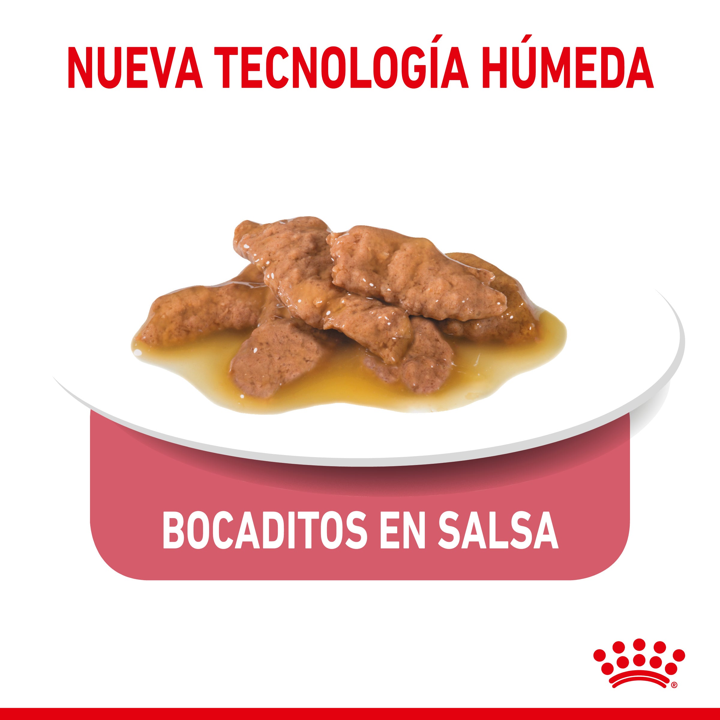 Royal Canin Indoor Sterilized 85 g Comida Húmeda en Salsa para Gatos al mejor precio -todoastorenimal.com
