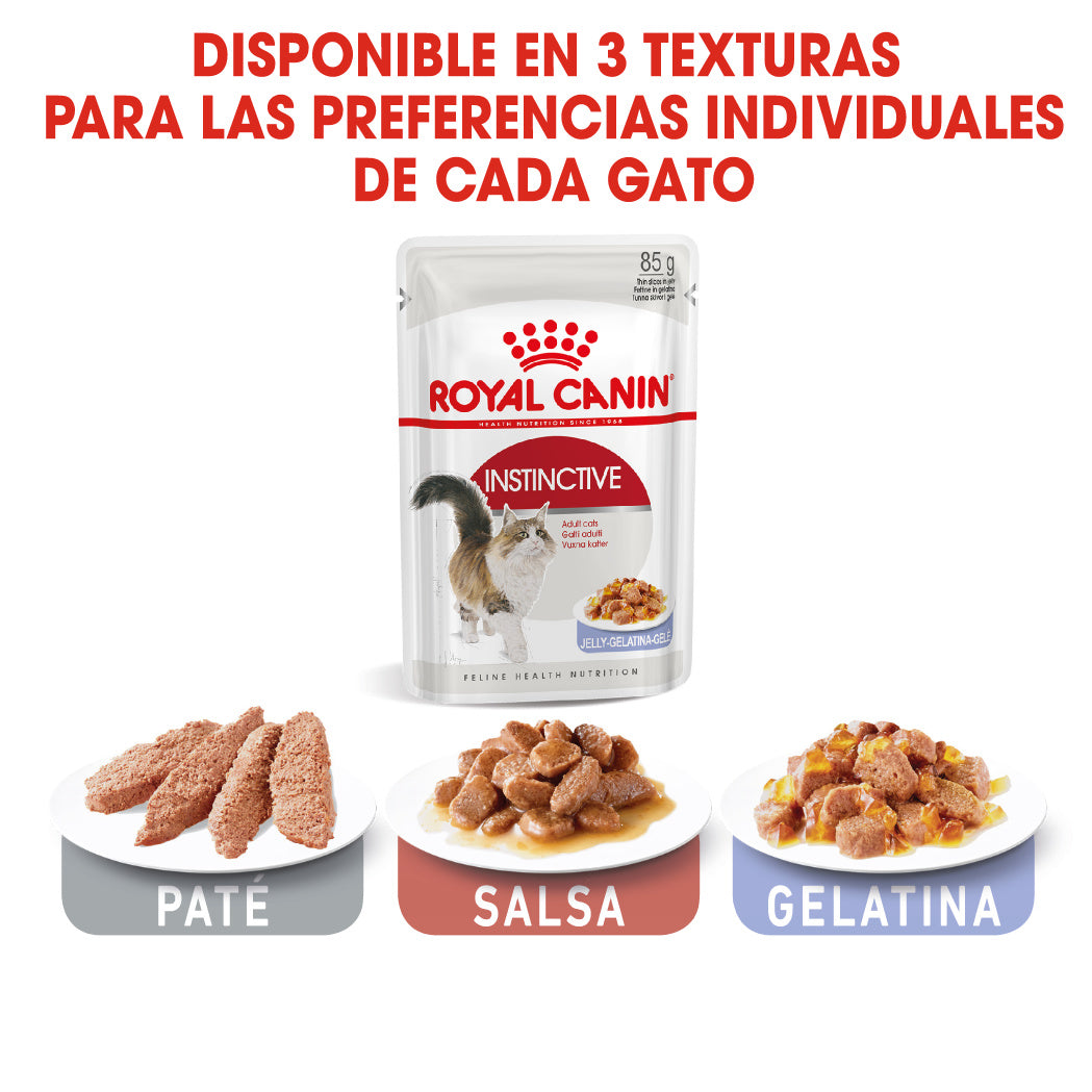 Royal Canin Instinctive Adulto 85 g Húmedo | Paté, Gelatina o Salsa al mejor precio -todoastorenimal.com