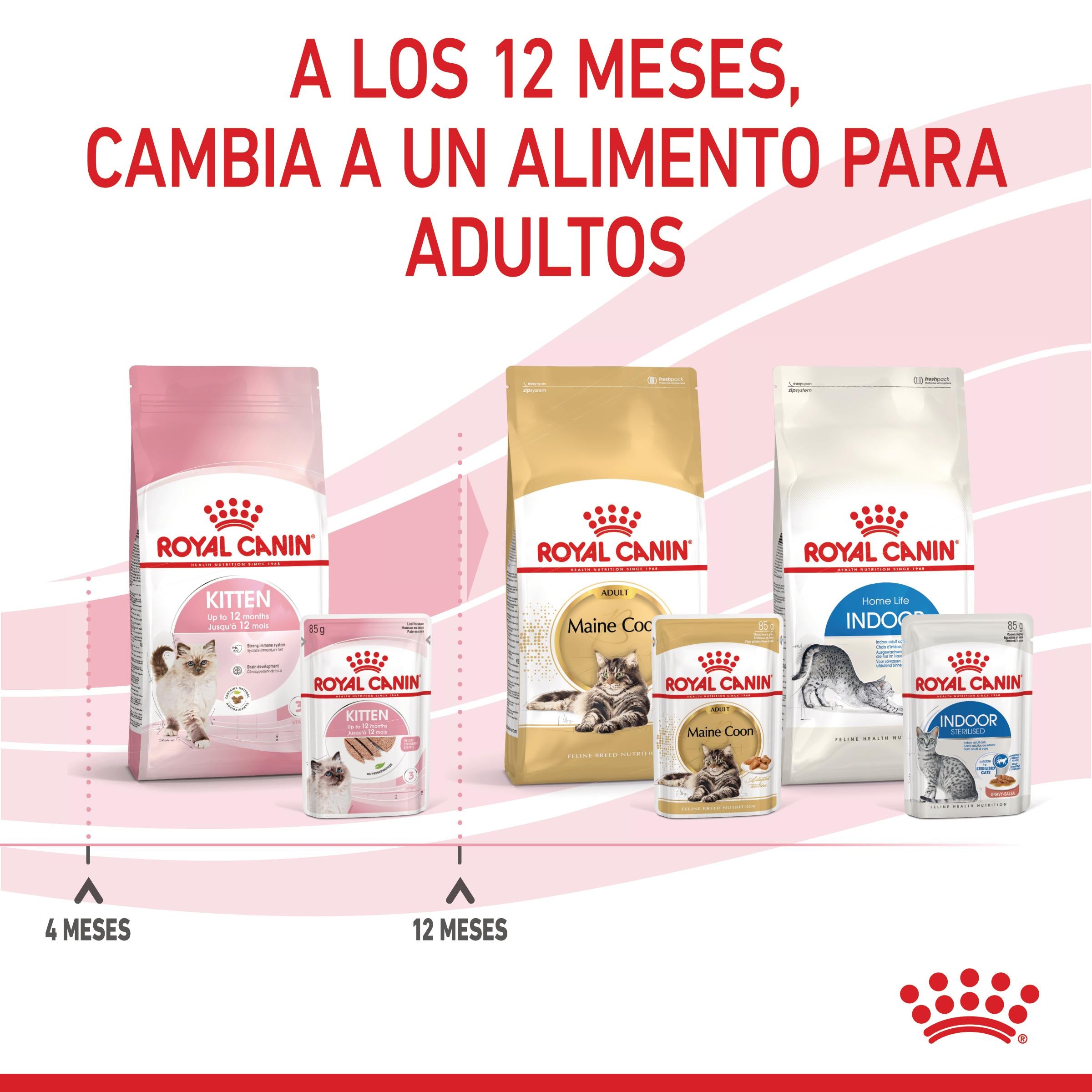 Royal Canin Kitten Húmedo 85 g para Gatos | Salsa, Gelatina o Paté al mejor precio -todoastorenimal.com