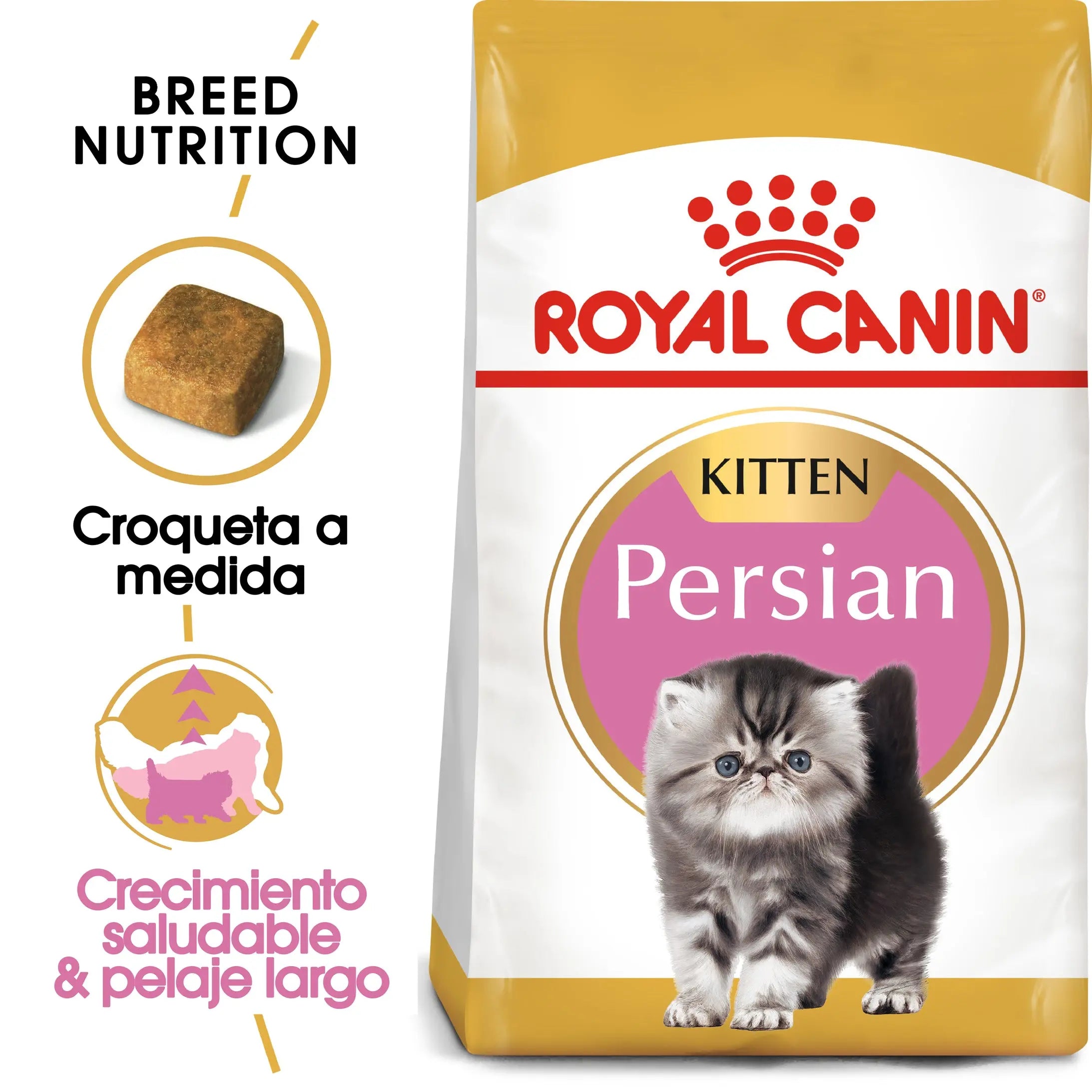 Royal Canin Kitten Persian Pienso Seco para Gatitos Persas al mejor precio -todoastorenimal.com