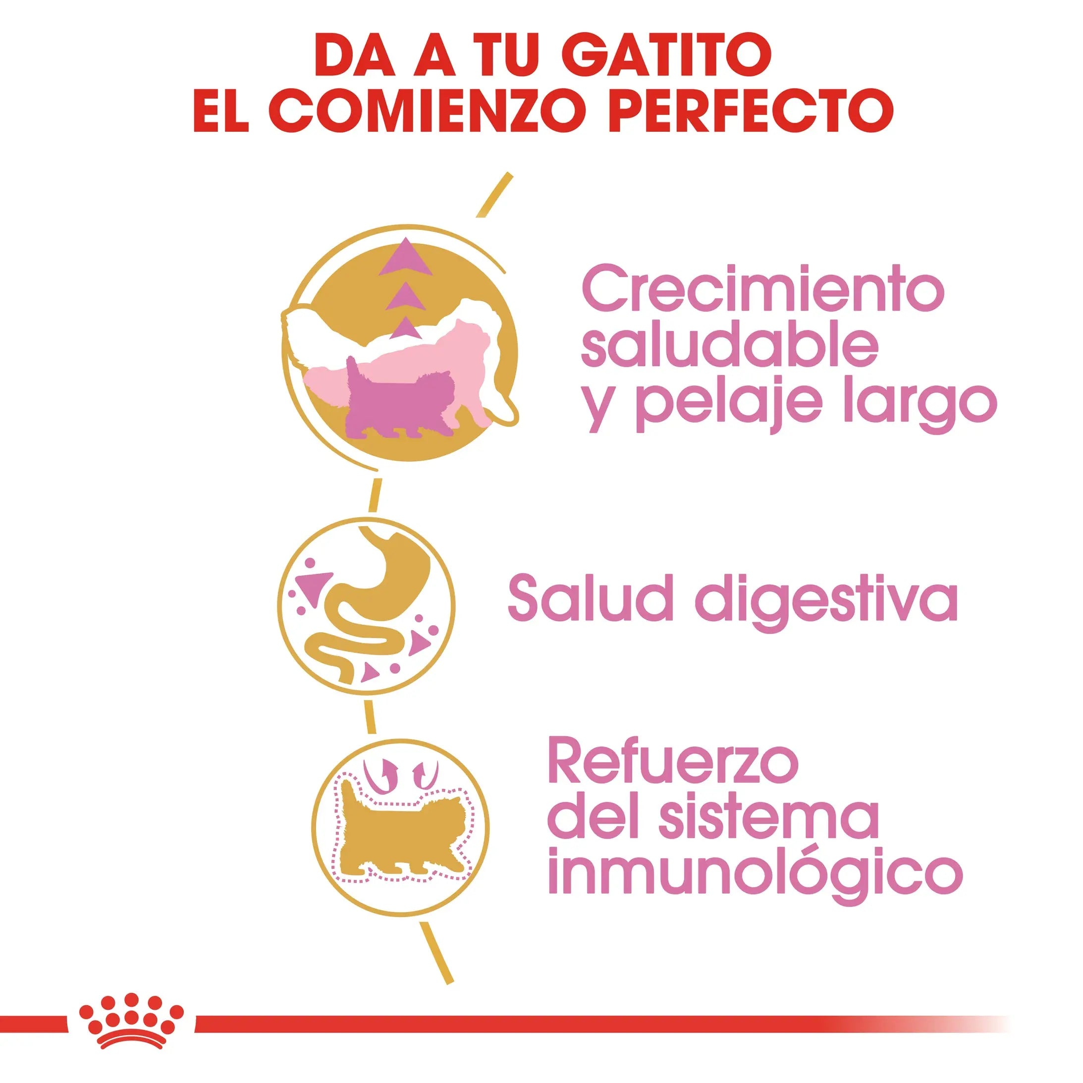 Royal Canin Kitten Persian Pienso Seco para Gatitos Persas al mejor precio -todoastorenimal.com