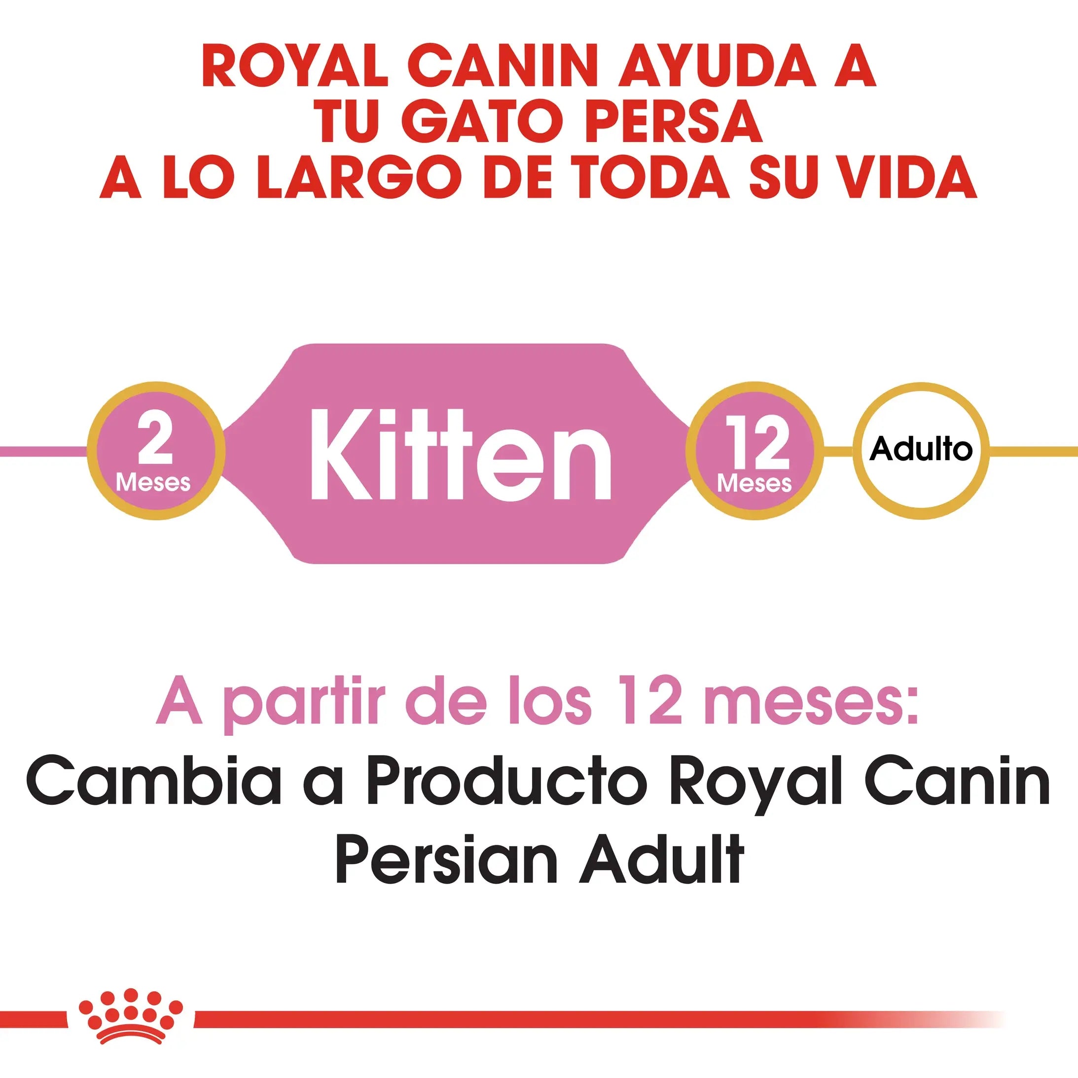 Royal Canin Kitten Persian Pienso Seco para Gatitos Persas al mejor precio -todoastorenimal.com