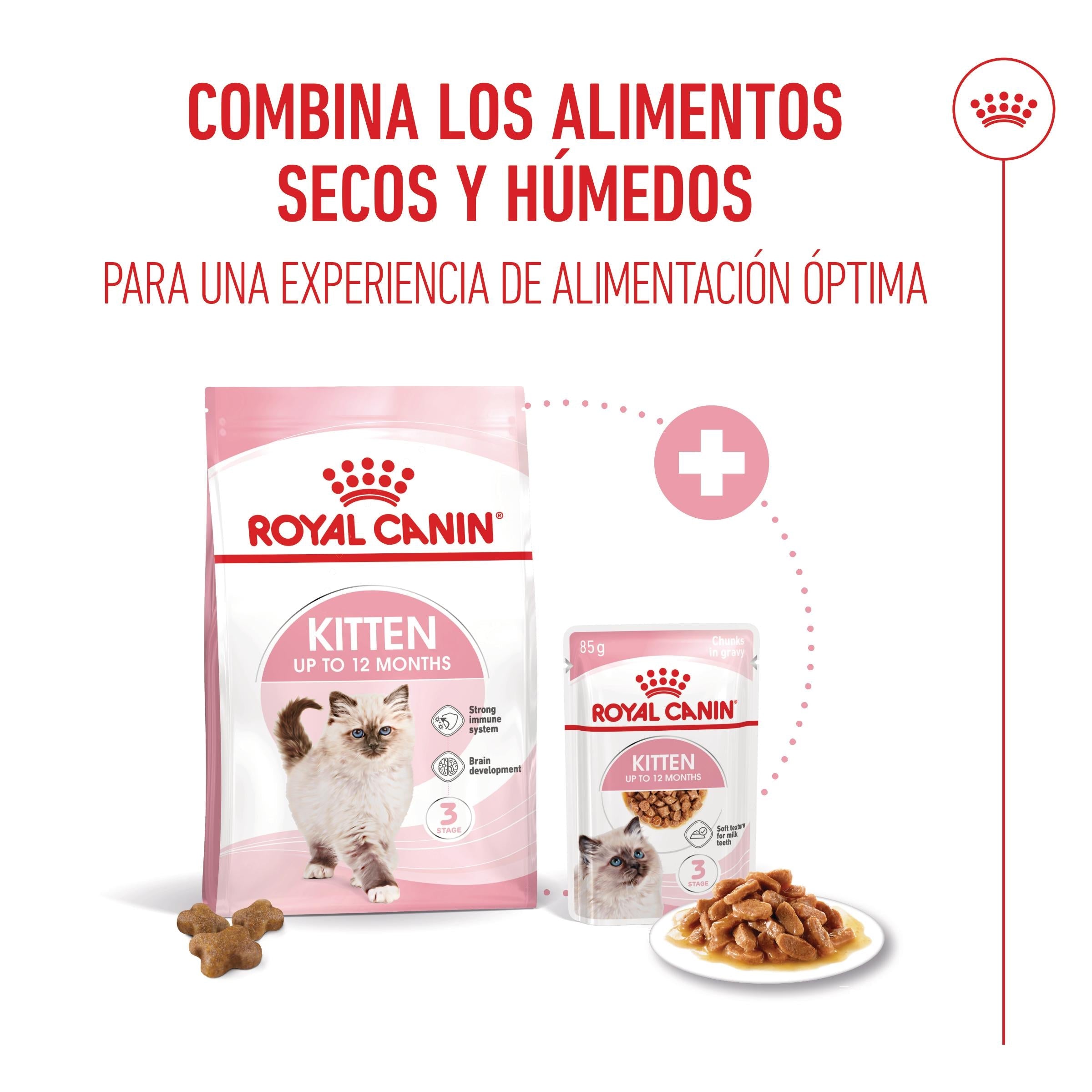 Royal Canin Kitten Pienso para Gatitos al mejor precio -todoastorenimal.com