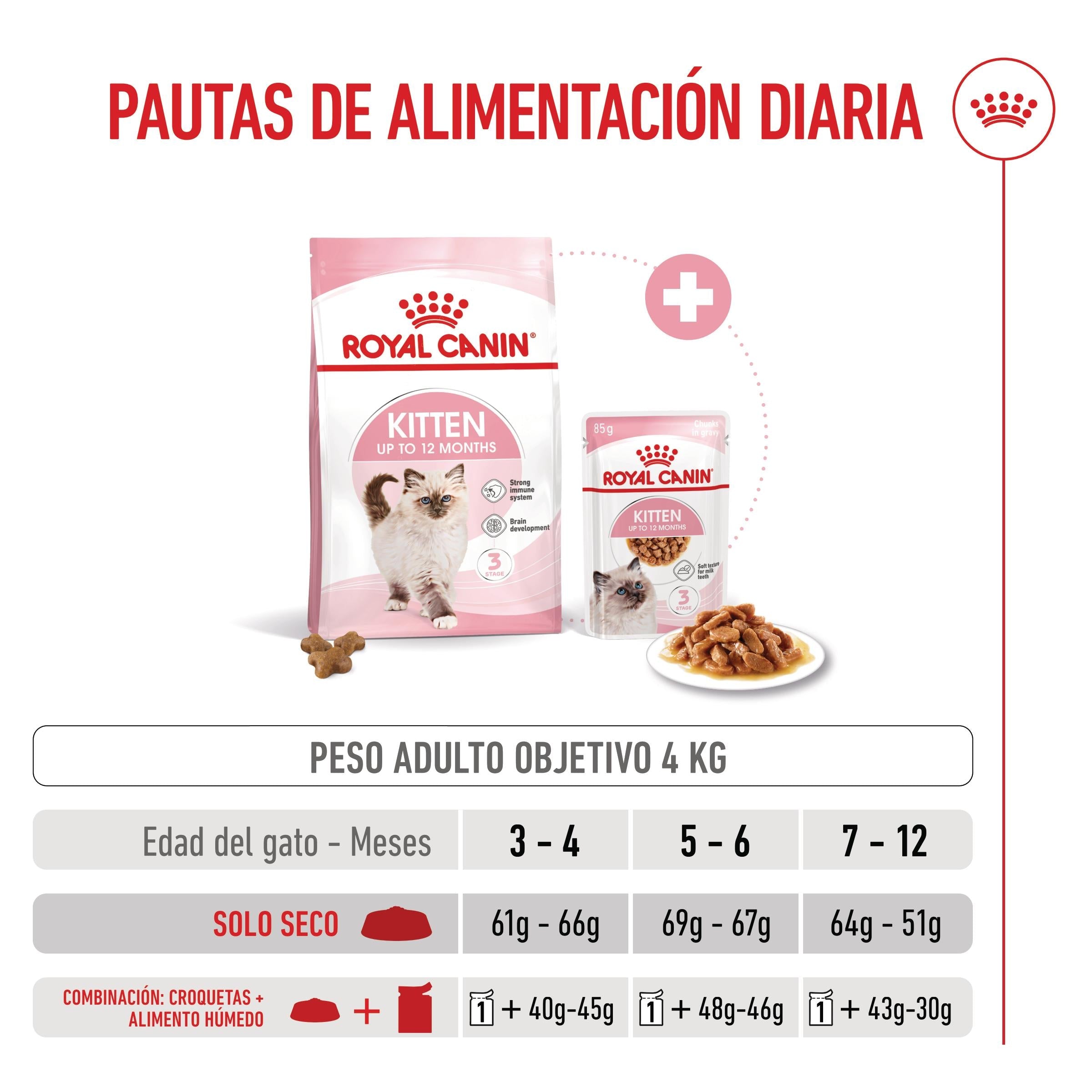 Royal Canin Kitten Pienso para Gatitos al mejor precio -todoastorenimal.com