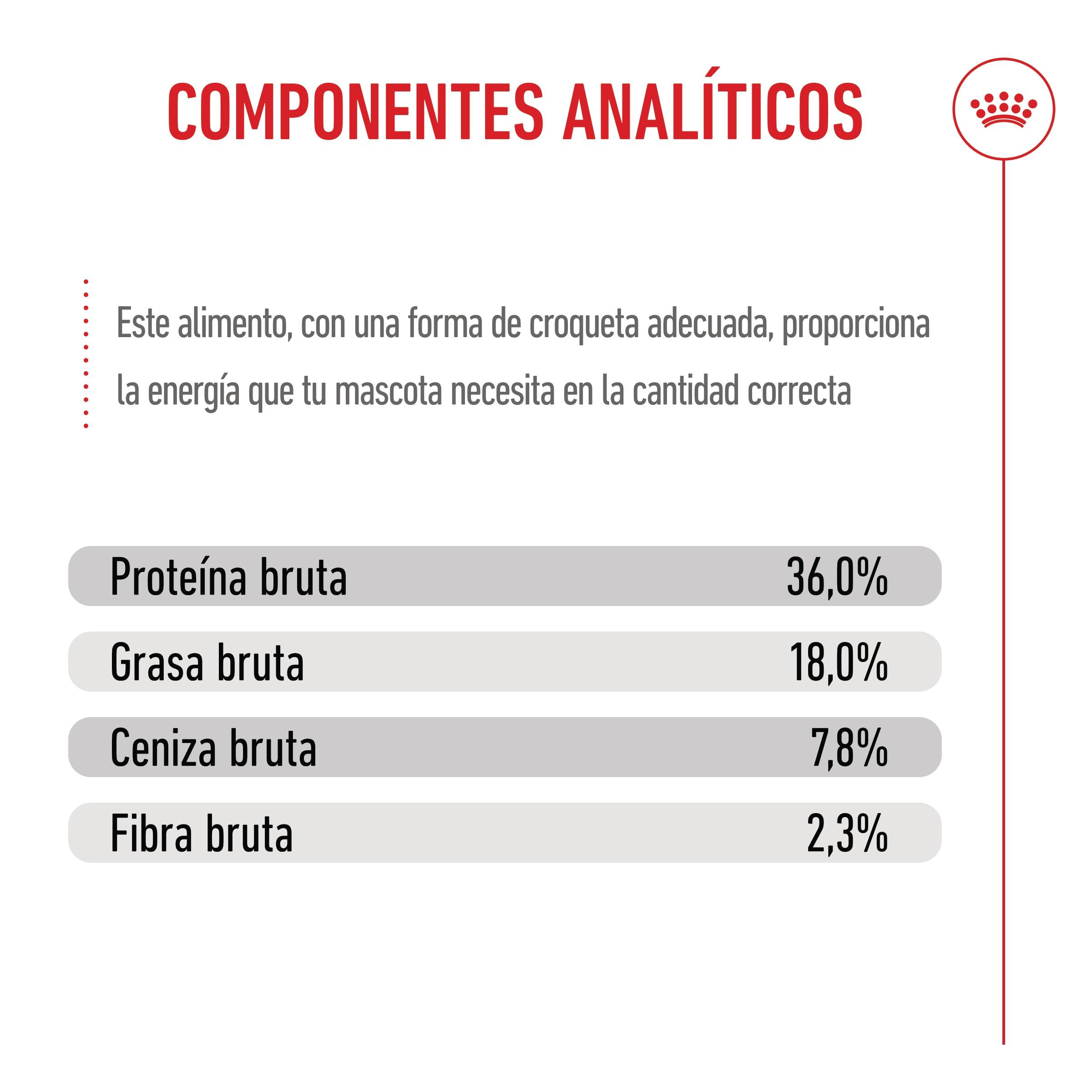 Royal Canin Kitten Pienso para Gatitos al mejor precio -todoastorenimal.com