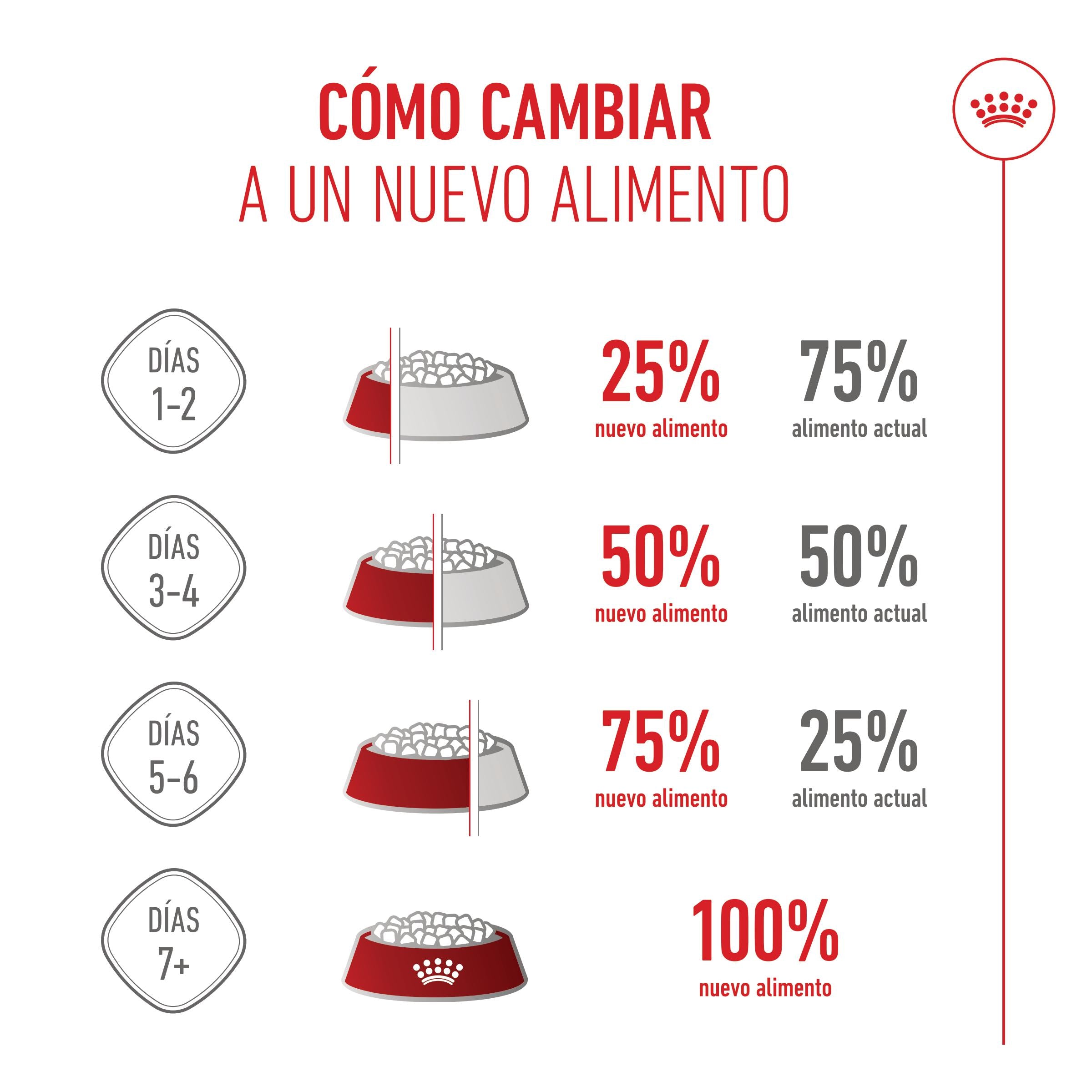 Royal Canin Kitten Pienso para Gatitos al mejor precio -todoastorenimal.com