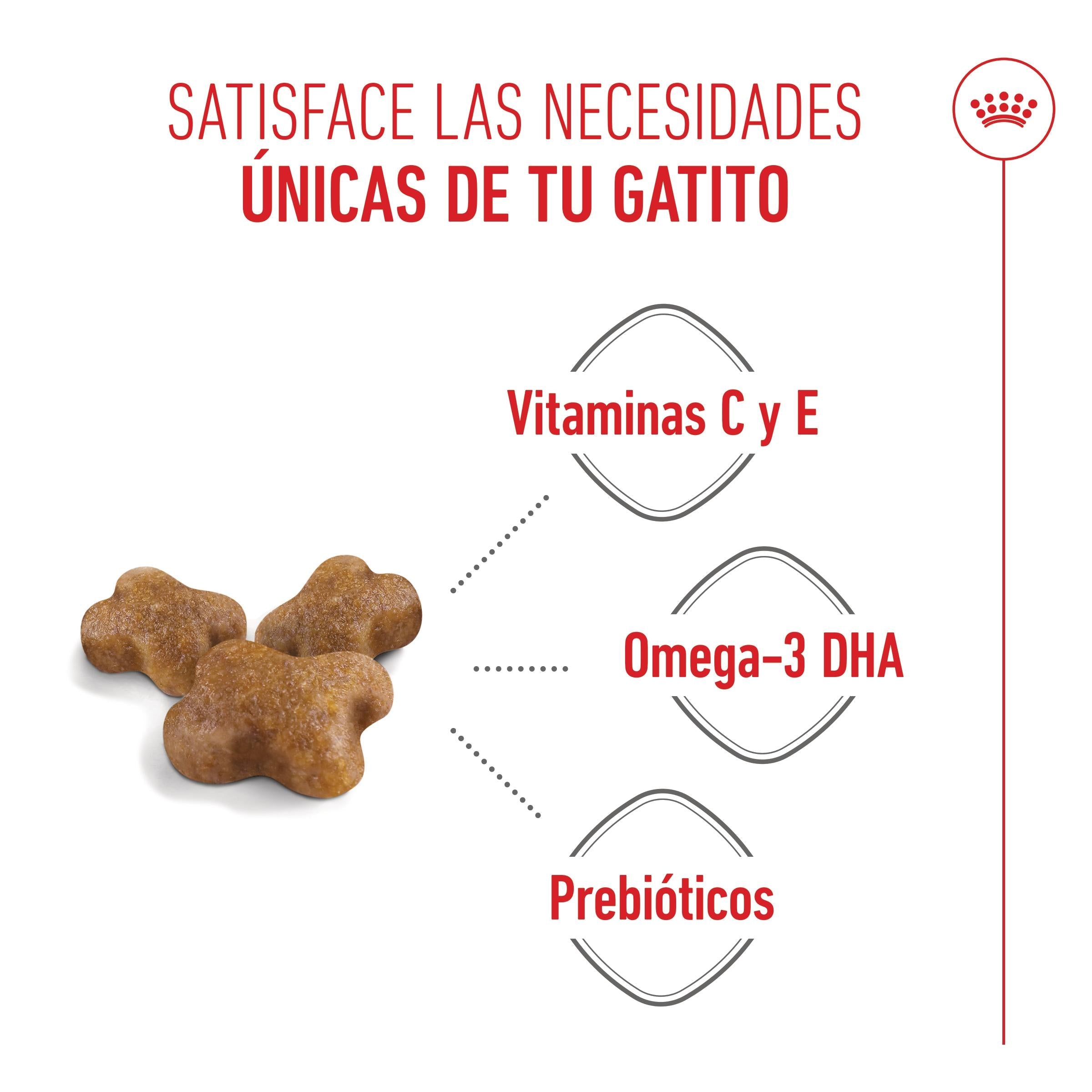 Royal Canin Kitten Pienso para Gatitos al mejor precio -todoastorenimal.com