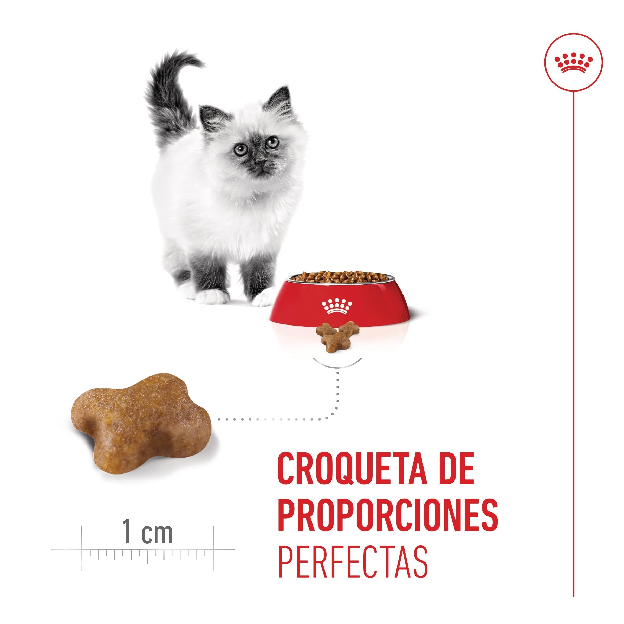 Royal Canin Kitten Pienso para Gatitos al mejor precio -todoastorenimal.com