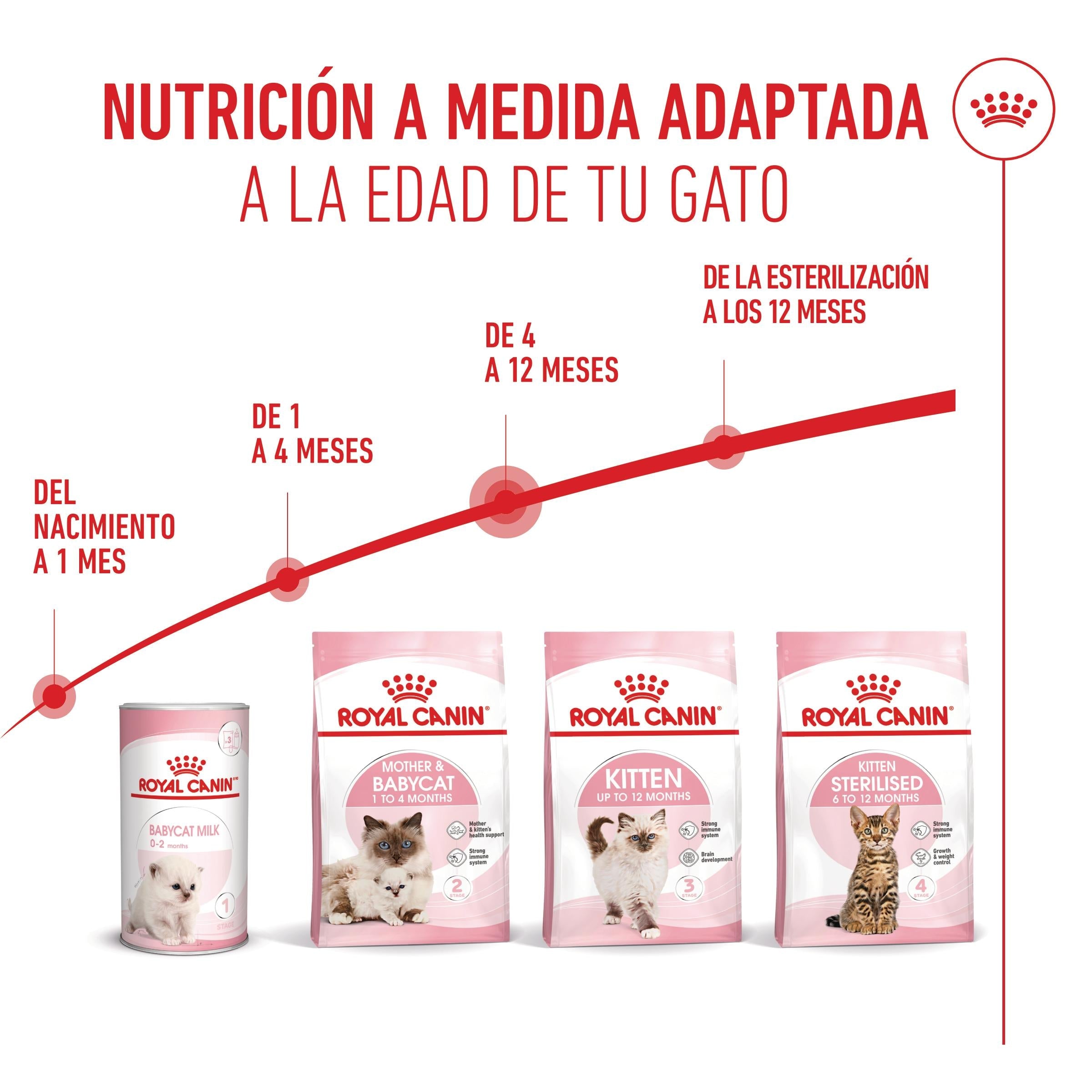 Royal Canin Kitten Pienso para Gatitos al mejor precio -todoastorenimal.com