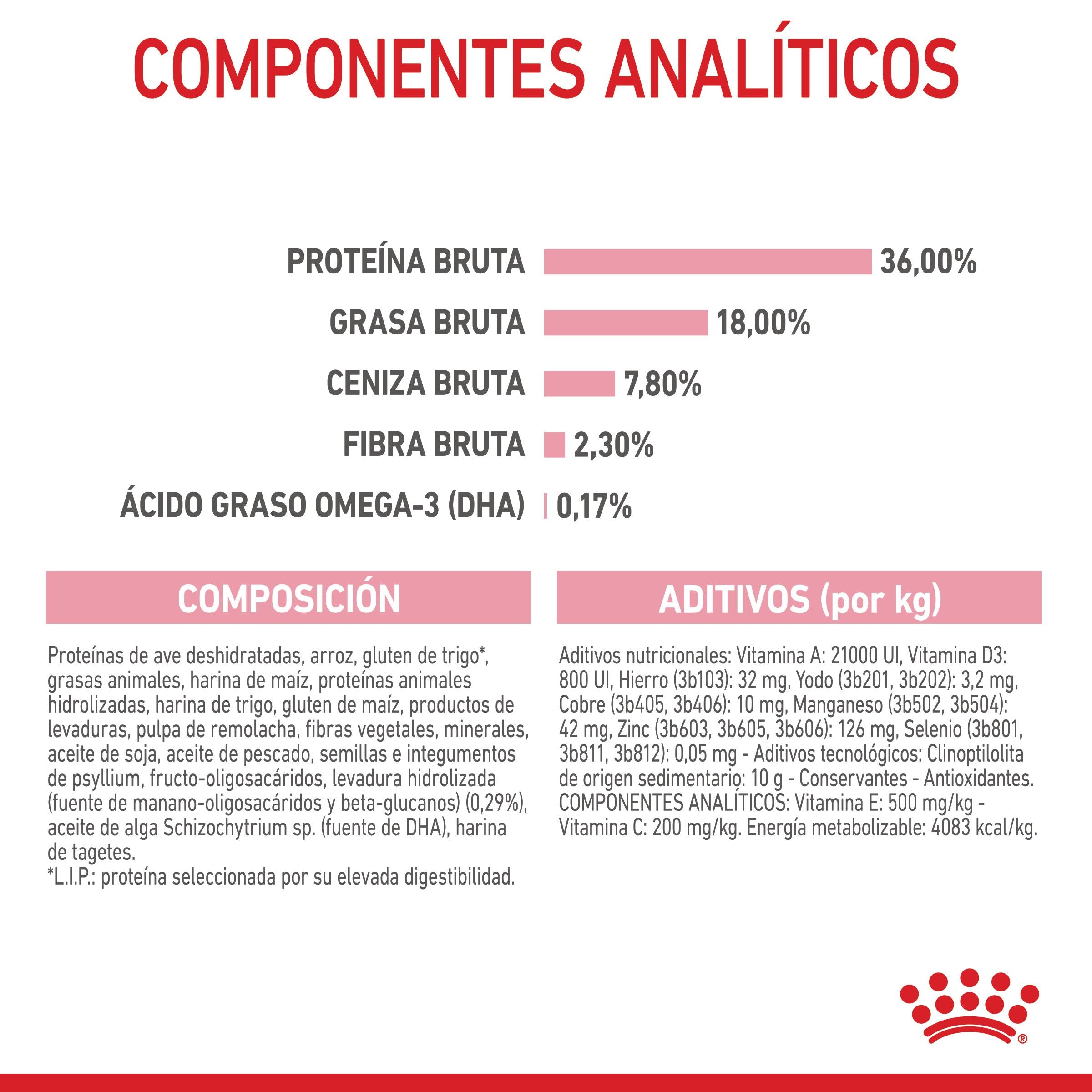 Royal Canin Kitten Pienso para Gatitos al mejor precio -todoastorenimal.com