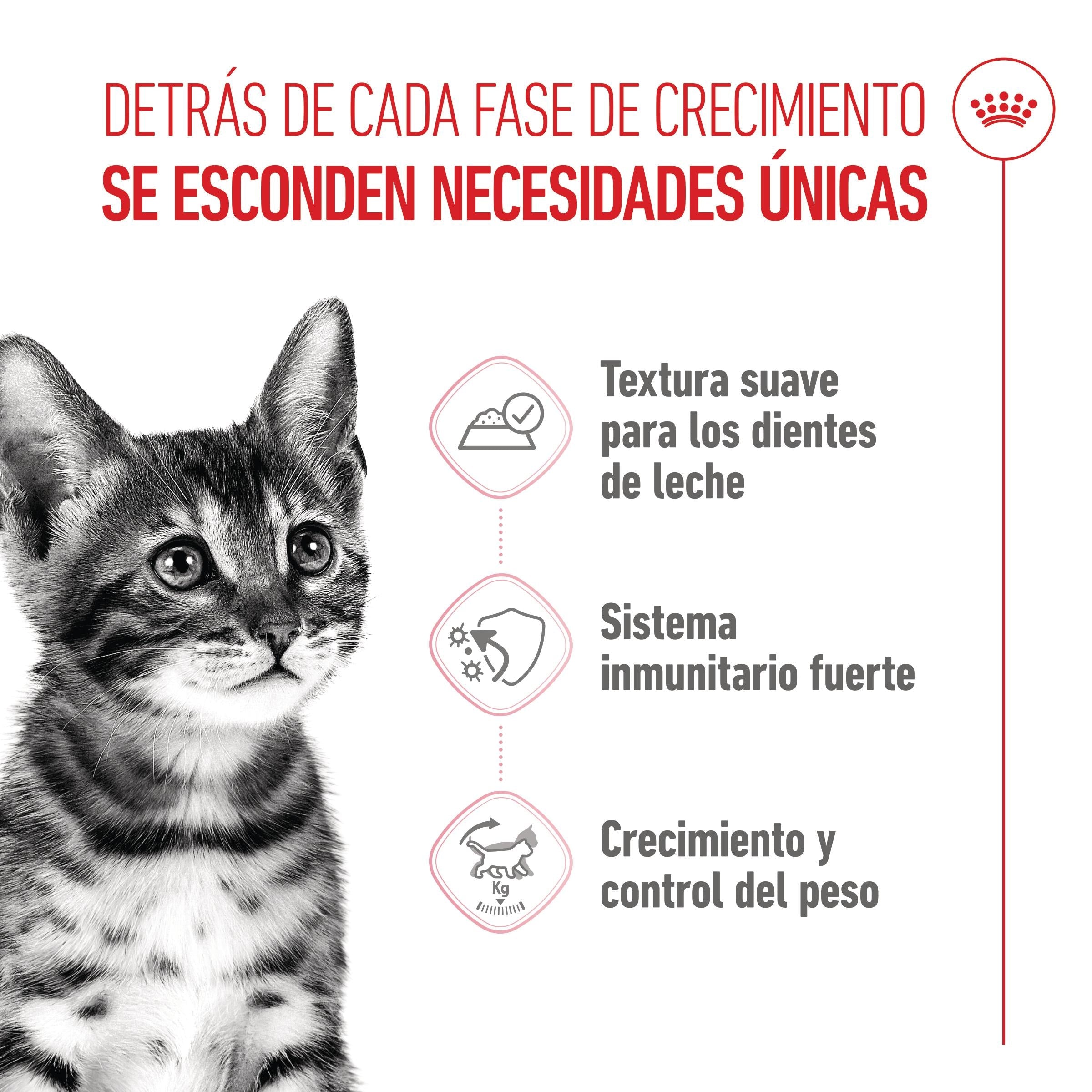 Royal Canin Kitten Sterilized Gelatina 85 g Alimento Húmedo para Gatitos al mejor precio -todoastorenimal.com