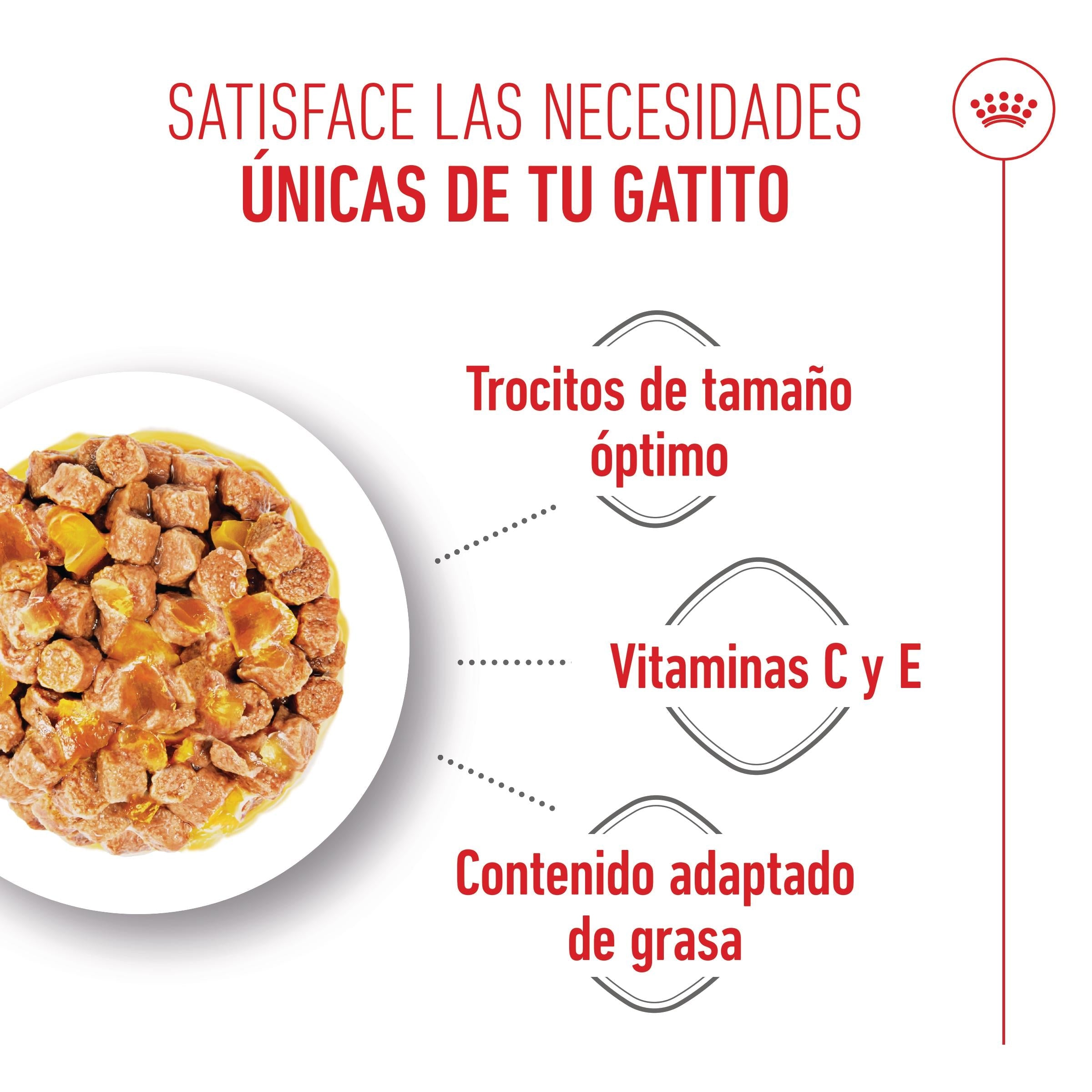 Royal Canin Kitten Sterilized Gelatina 85 g Alimento Húmedo para Gatitos al mejor precio -todoastorenimal.com