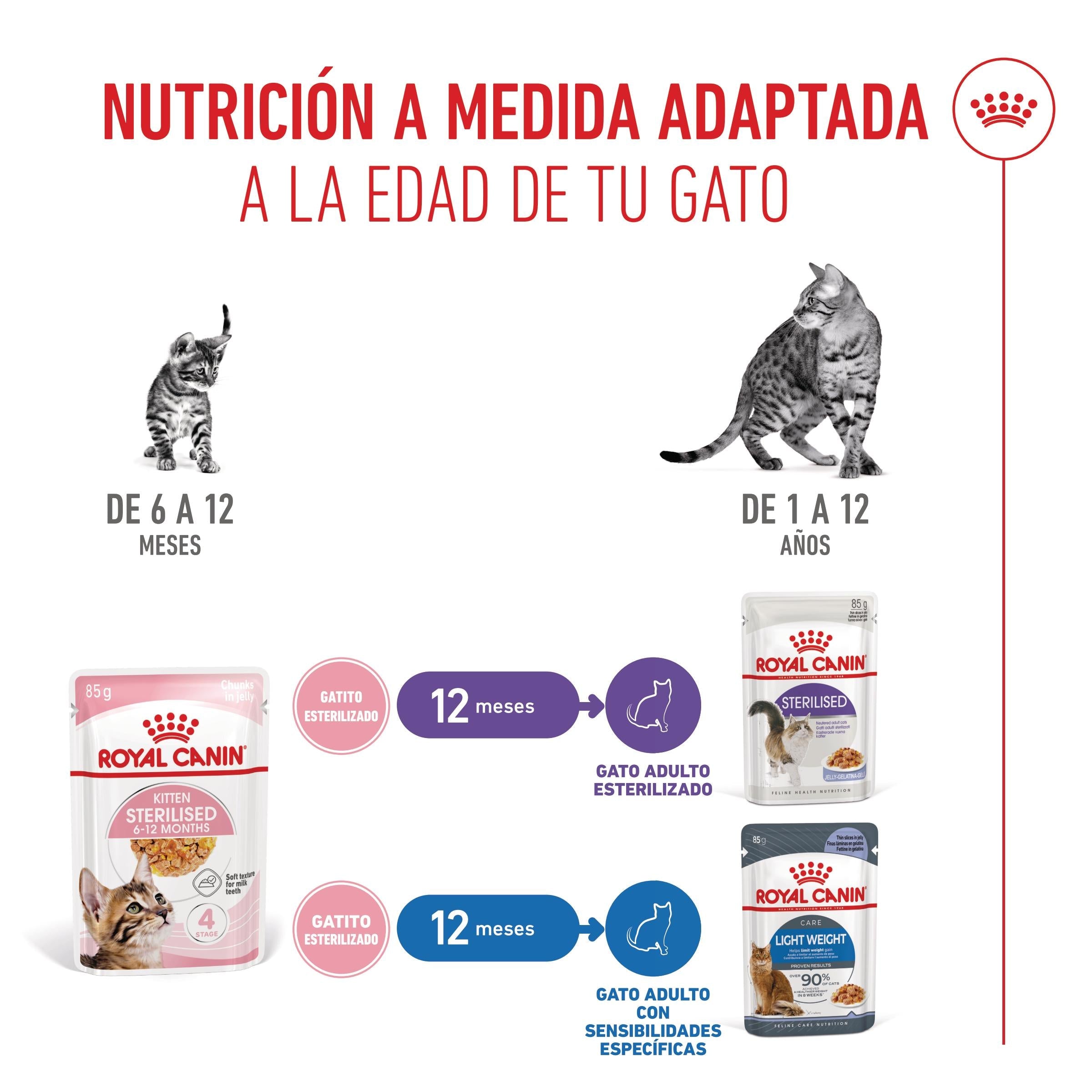 Royal Canin Kitten Sterilized Gelatina 85 g Alimento Húmedo para Gatitos al mejor precio -todoastorenimal.com