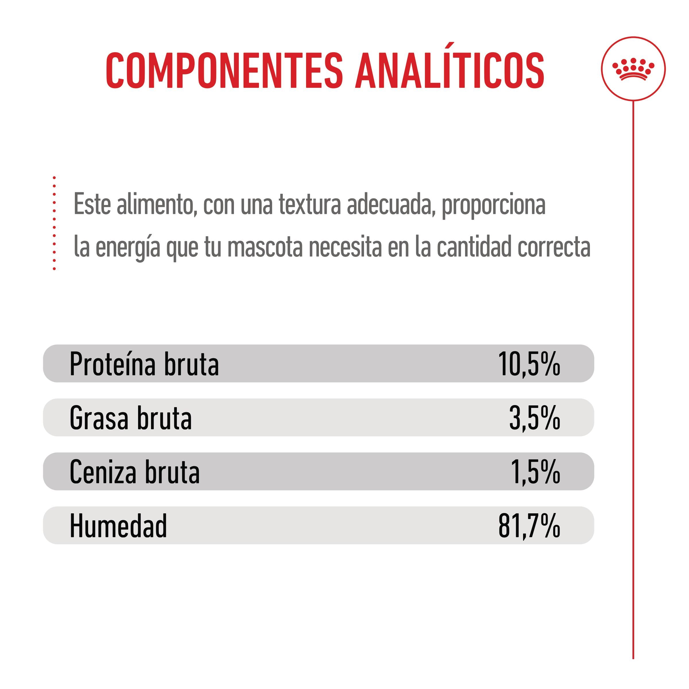 Royal Canin Kitten Sterilized Gelatina 85 g Alimento Húmedo para Gatitos al mejor precio -todoastorenimal.com