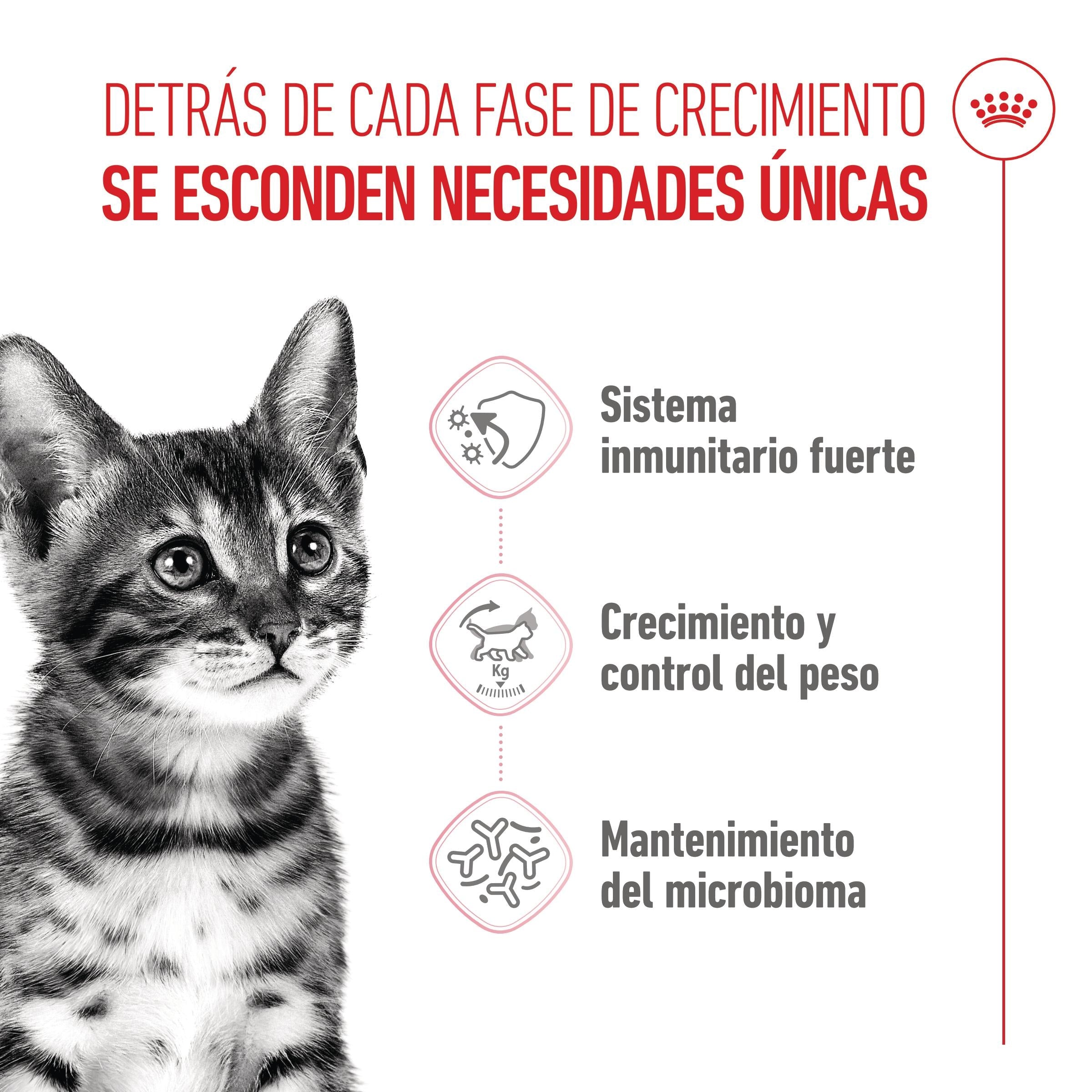 Royal Canin Kitten Sterilized Pienso para Gatitos Esterilizados al mejor precio -todoastorenimal.com