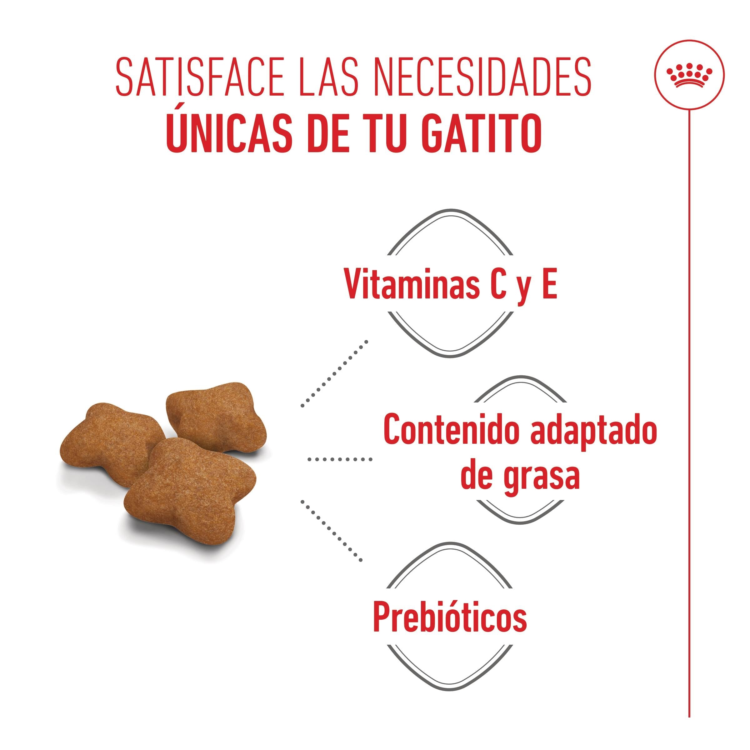 Royal Canin Kitten Sterilized Pienso para Gatitos Esterilizados al mejor precio -todoastorenimal.com