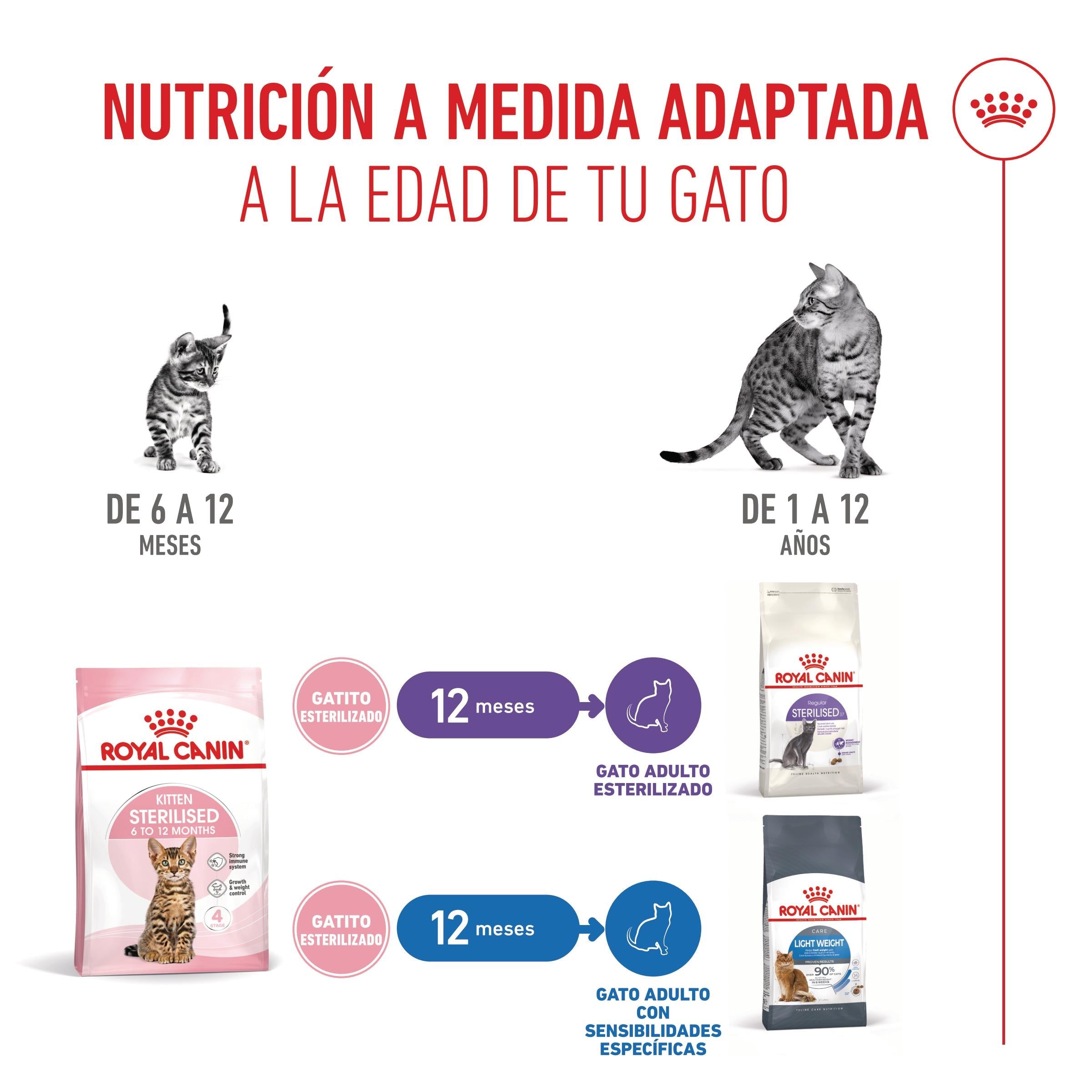 Royal Canin Kitten Sterilized Pienso para Gatitos Esterilizados al mejor precio -todoastorenimal.com