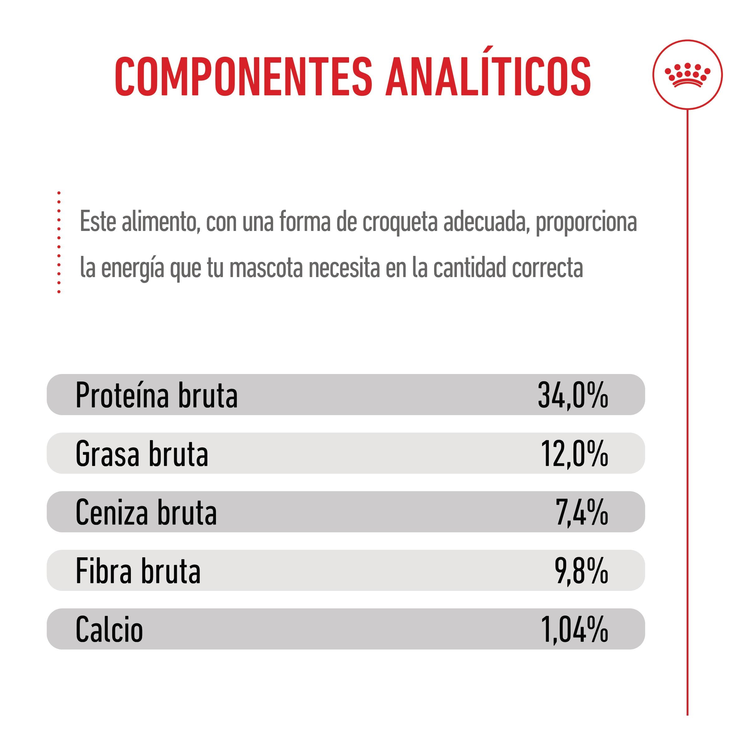 Royal Canin Kitten Sterilized Pienso para Gatitos Esterilizados al mejor precio -todoastorenimal.com