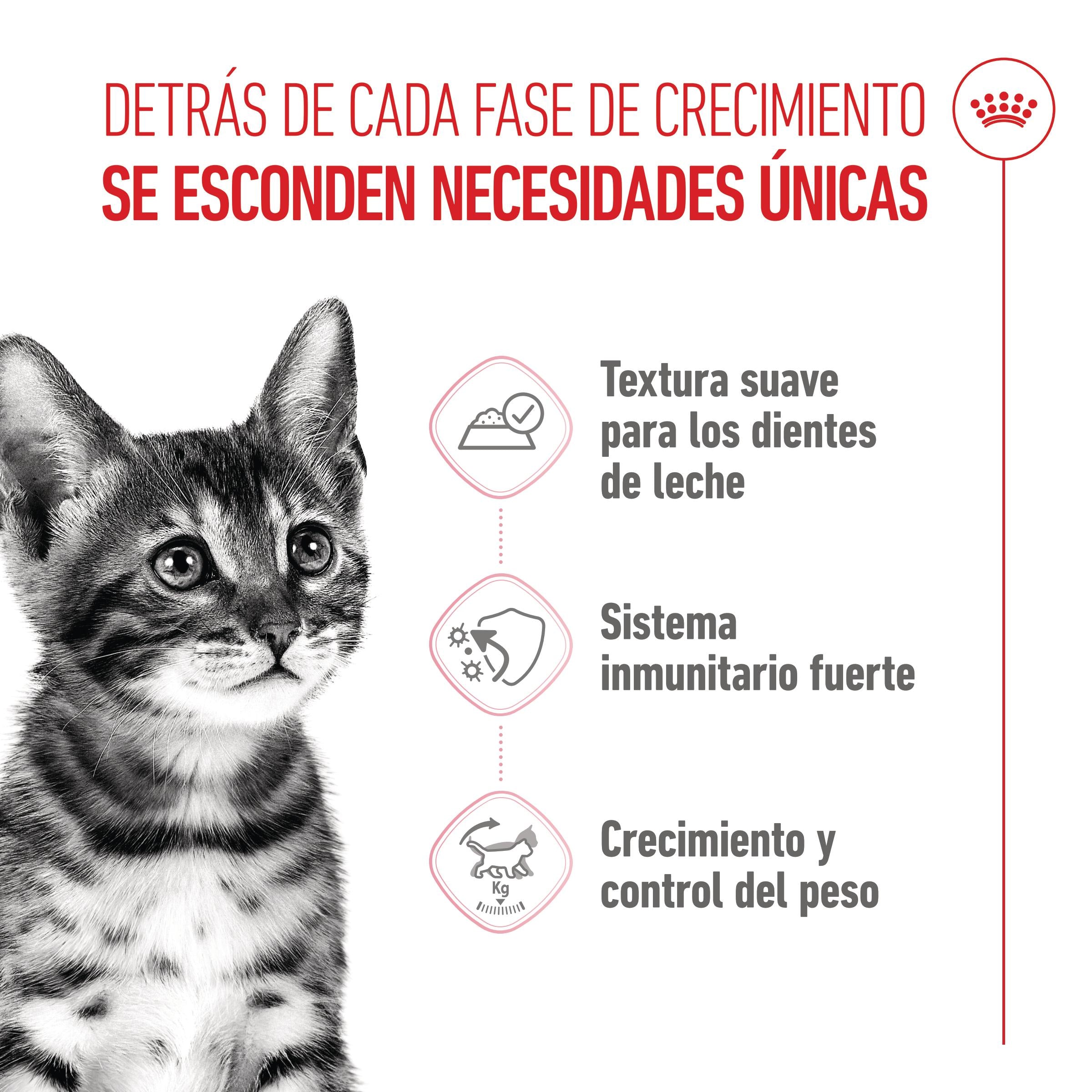 Royal Canin Kitten Sterilized en Salsa 85 g Comida Húmeda para Gatitos al mejor precio -todoastorenimal.com