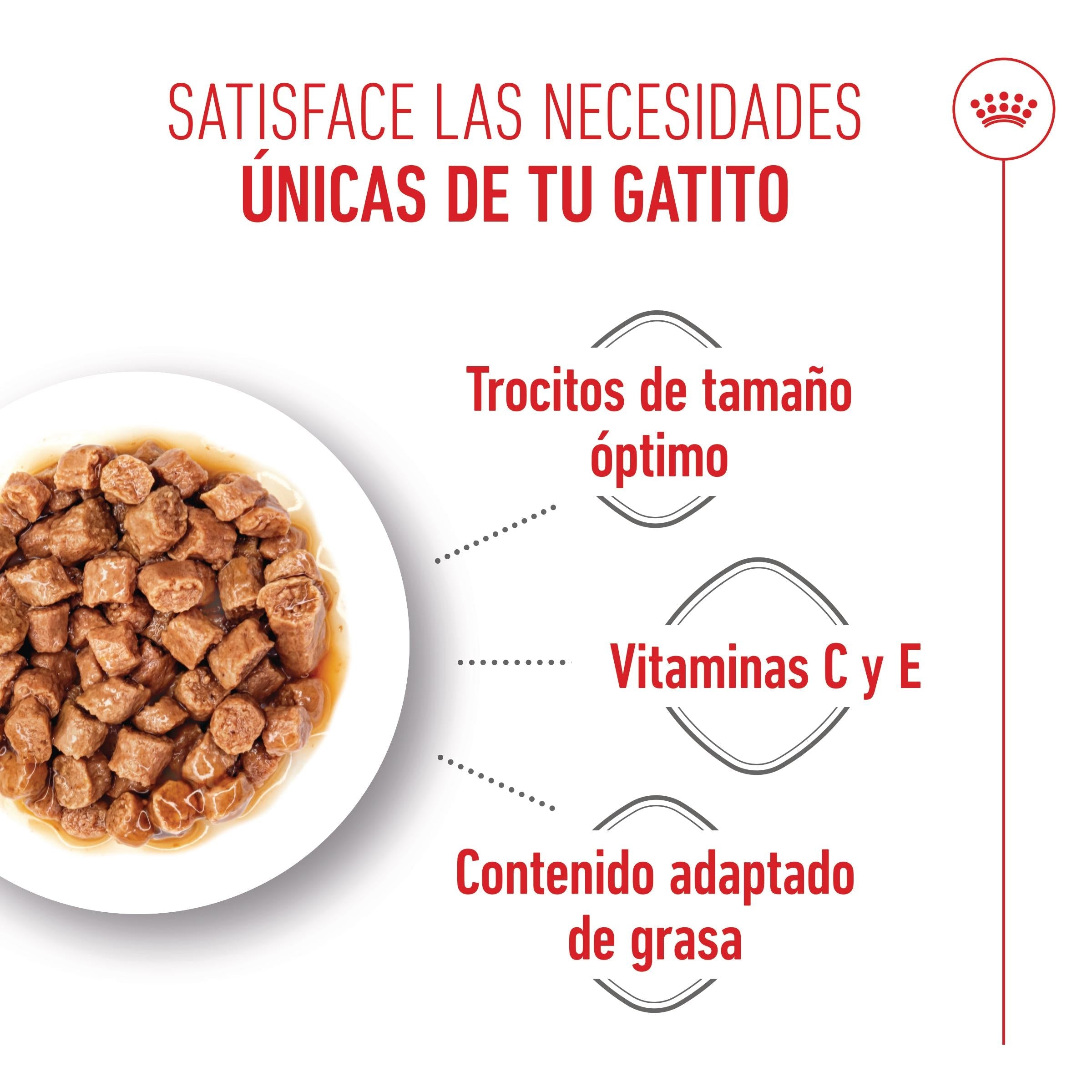 Royal Canin Kitten Sterilized en Salsa 85 g Comida Húmeda para Gatitos al mejor precio -todoastorenimal.com