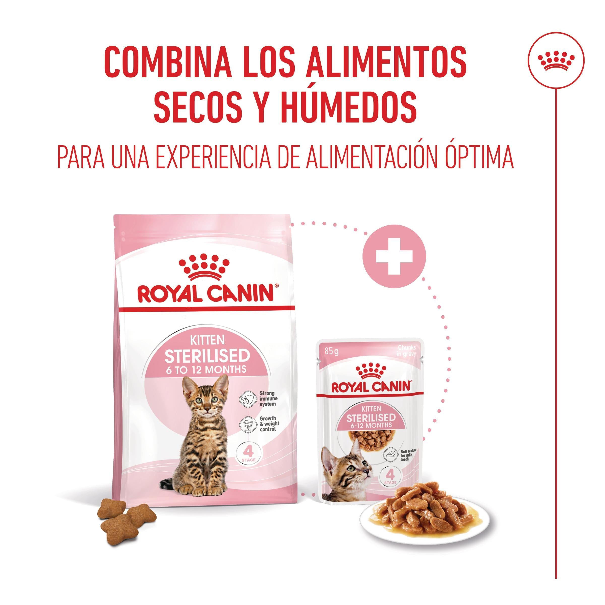 Royal Canin Kitten Sterilized en Salsa 85 g Comida Húmeda para Gatitos al mejor precio -todoastorenimal.com