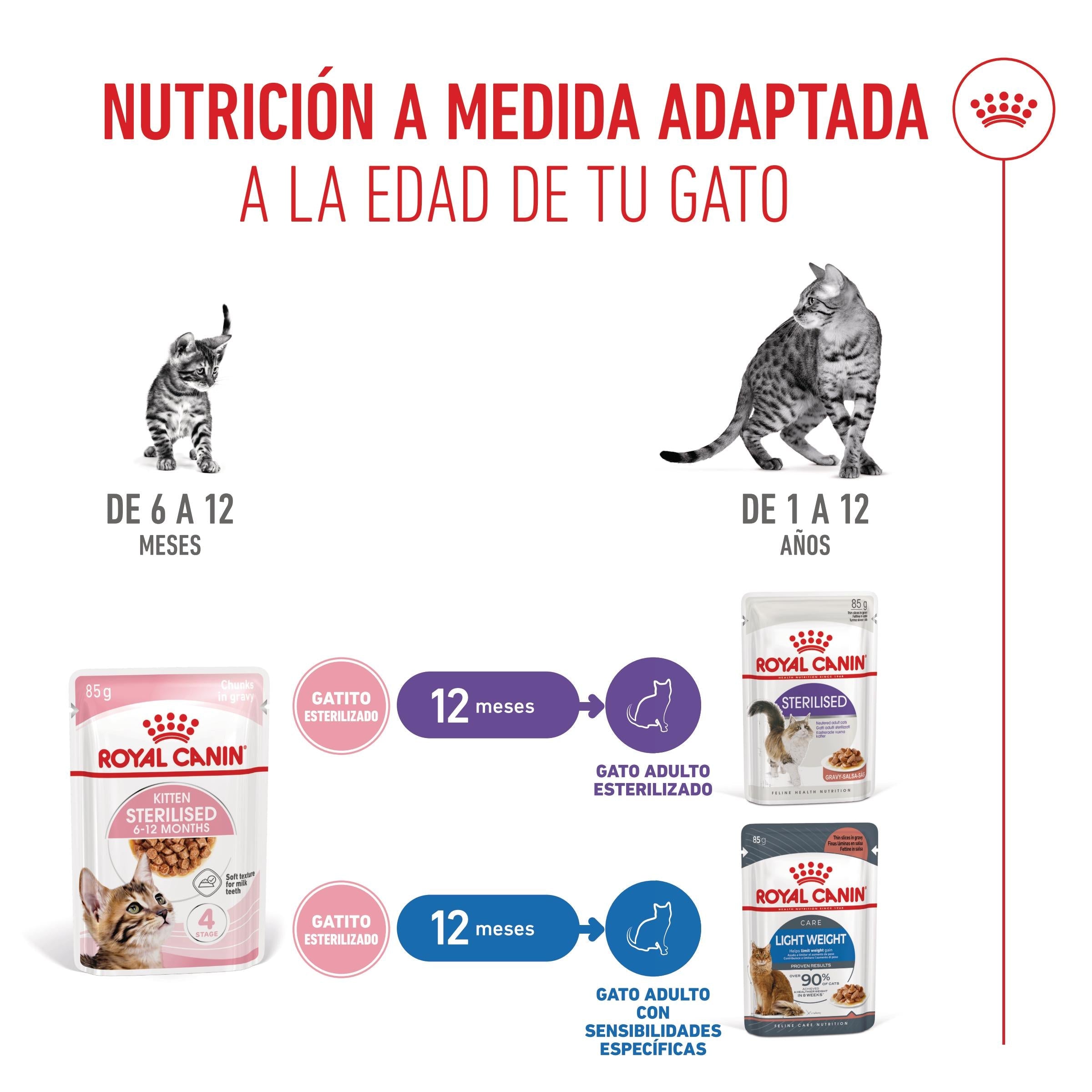 Royal Canin Kitten Sterilized en Salsa 85 g Comida Húmeda para Gatitos al mejor precio -todoastorenimal.com