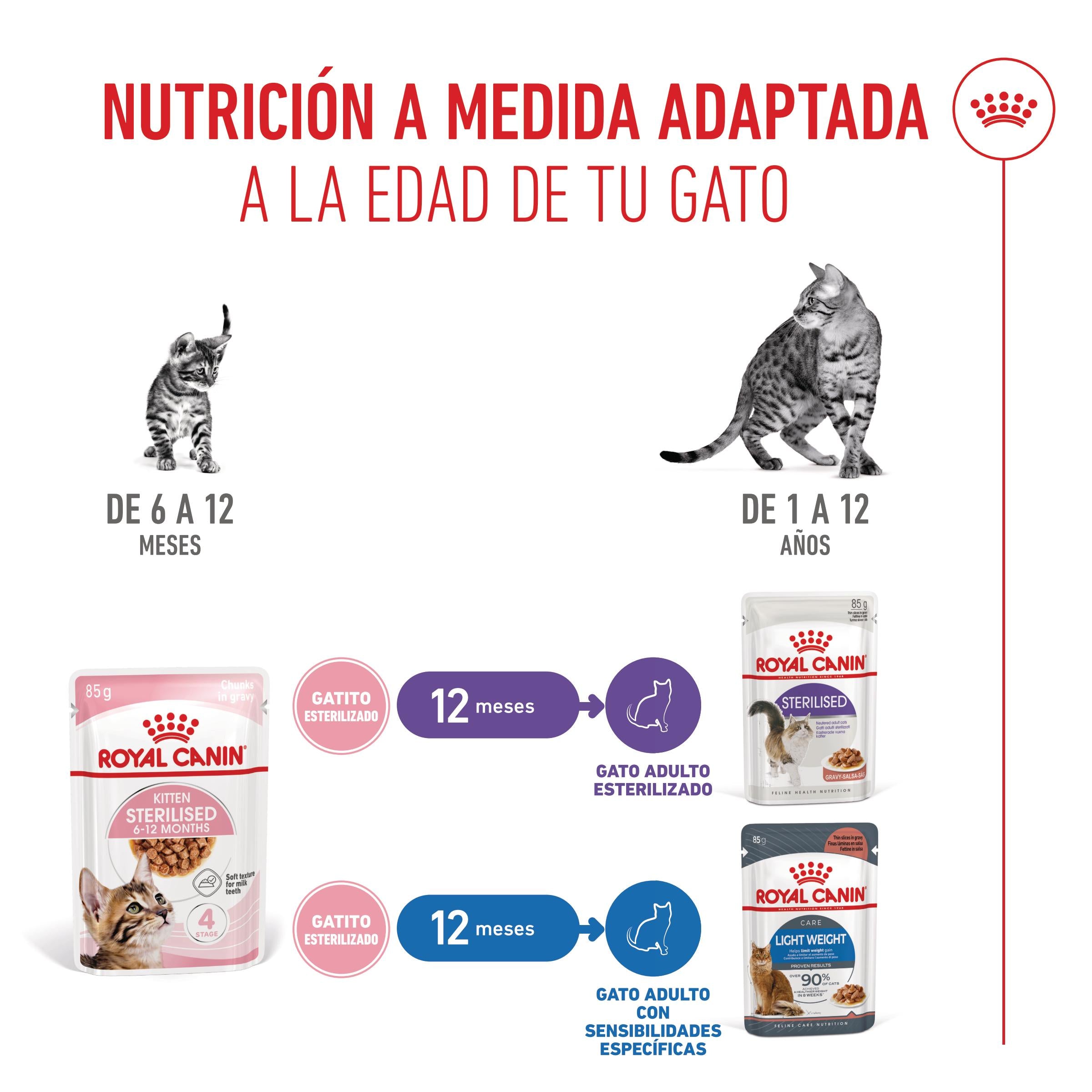 Royal Canin Kitten Sterilized en Salsa 85 g Comida Húmeda para Gatitos al mejor precio -todoastorenimal.com