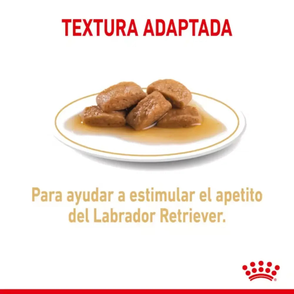 Royal Canin Labrador Adult 140 g Húmedo al mejor precio -todoastorenimal.com