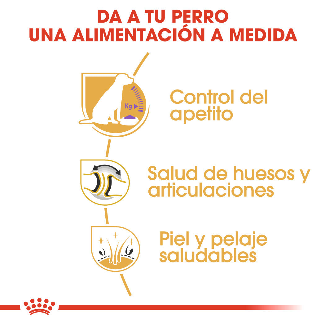 Royal Canin Labrador Adult Sterilized Pienso para Perros Esterilizados de Raza al mejor precio -todoastorenimal.com