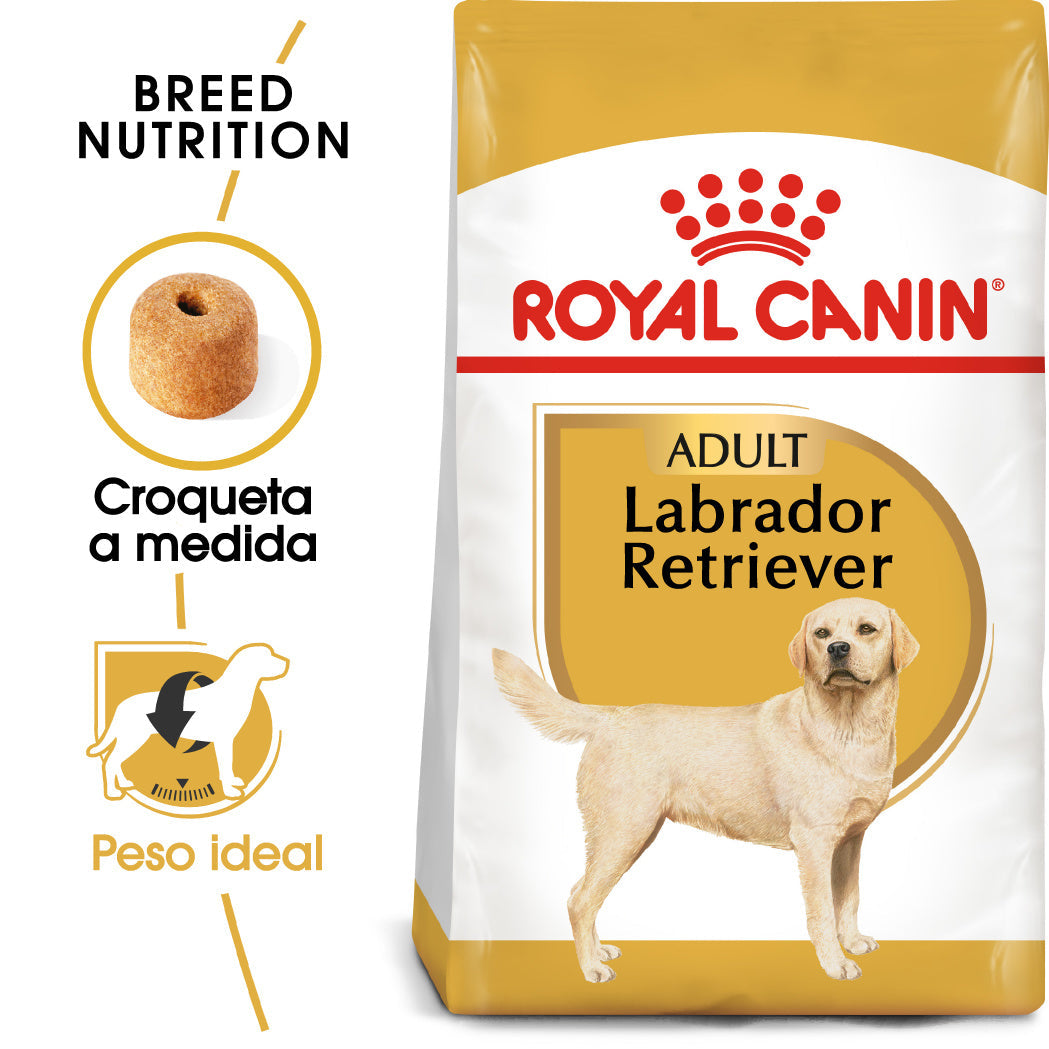 Royal Canin Labrador Pienso para Perros Adultos de Raza al mejor precio -todoastorenimal.com