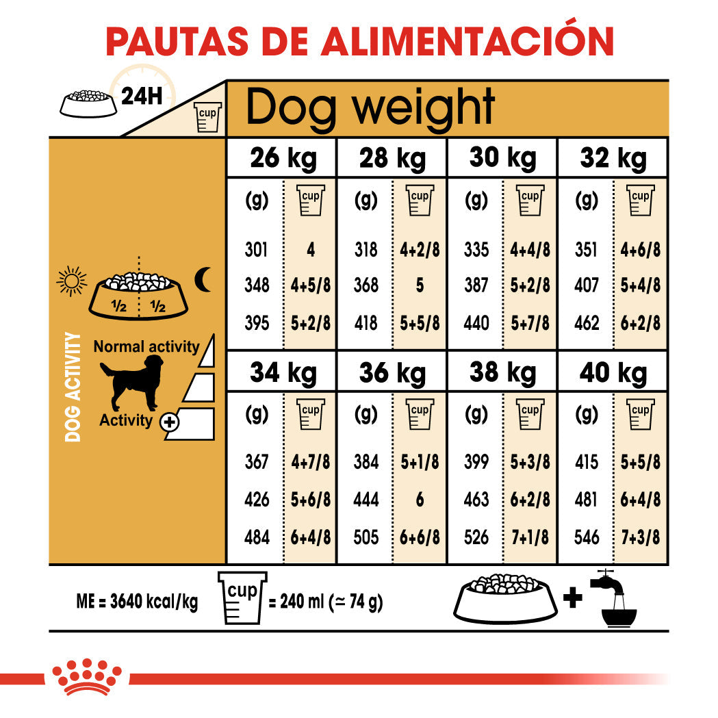 Royal Canin Labrador Pienso para Perros Adultos de Raza al mejor precio -todoastorenimal.com