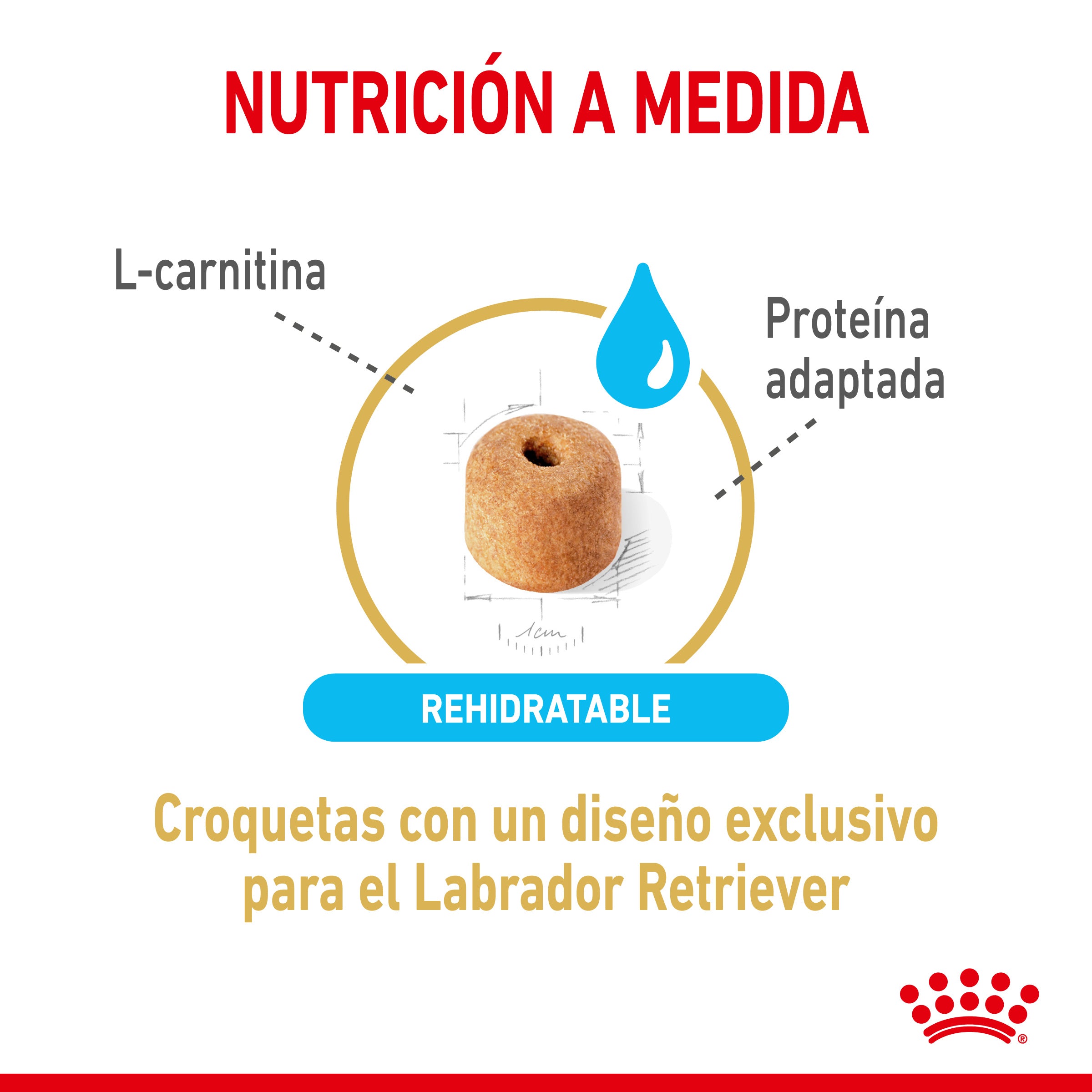Royal Canin Labrador Retriever Ageing 5+ Pienso para Perros de Raza al mejor precio -todoastorenimal.com