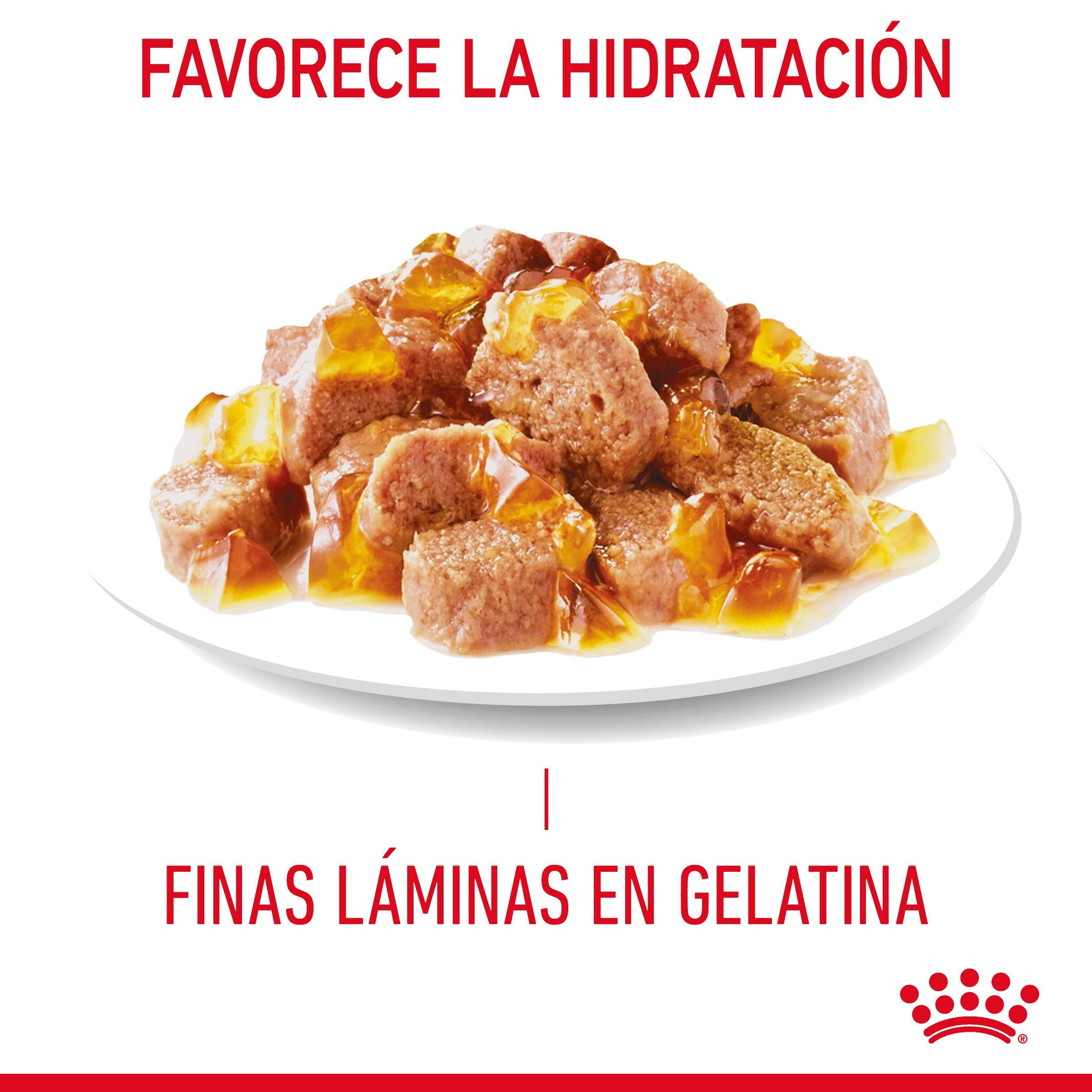 Royal Canin Light Weight Care Finas Láminas en Gelatina 85 g Húmedo para Gatos al mejor precio -todoastorenimal.com