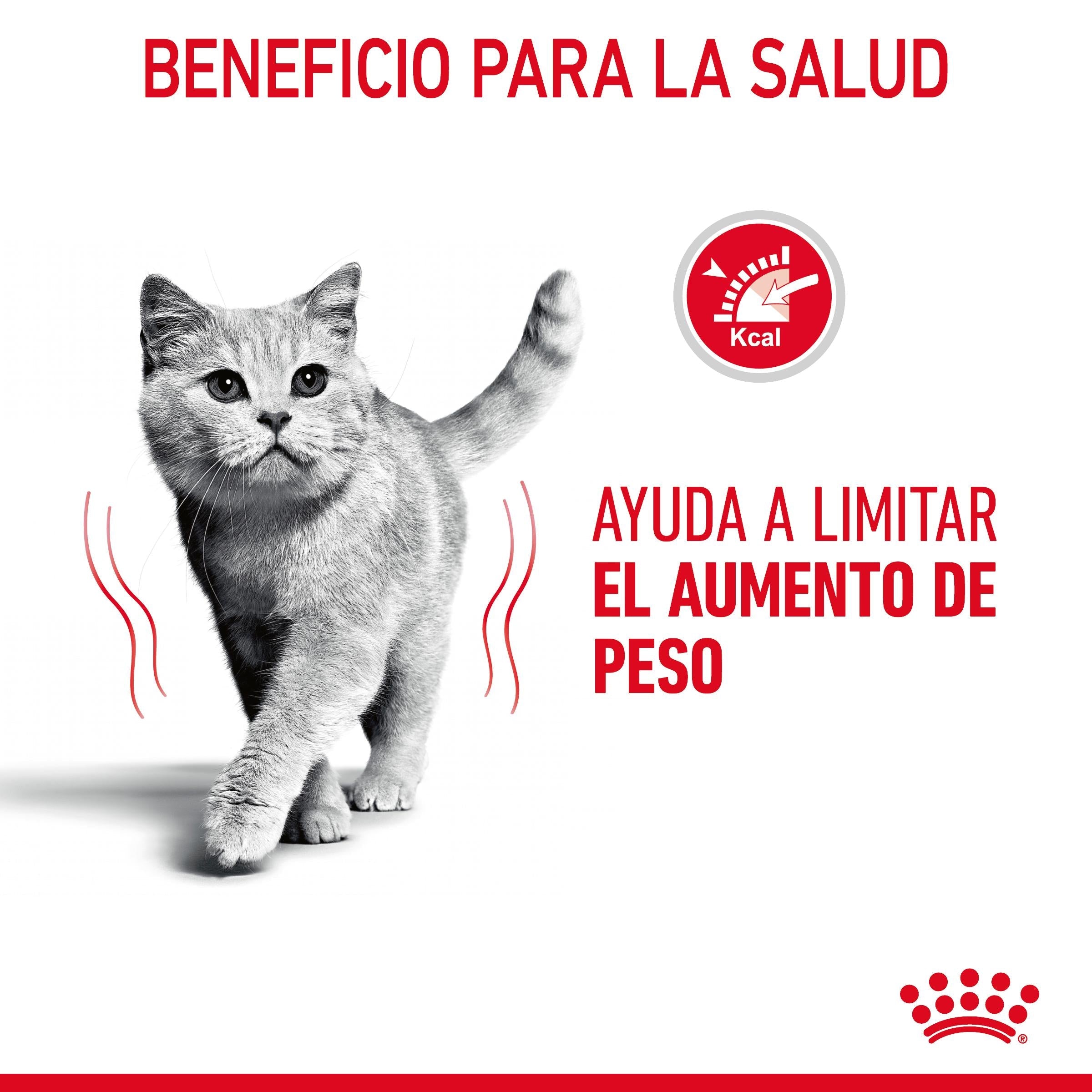 Royal Canin Light Weight Care Finas Láminas en Salsa 85 g Húmedo para Gatos al mejor precio -todoastorenimal.com