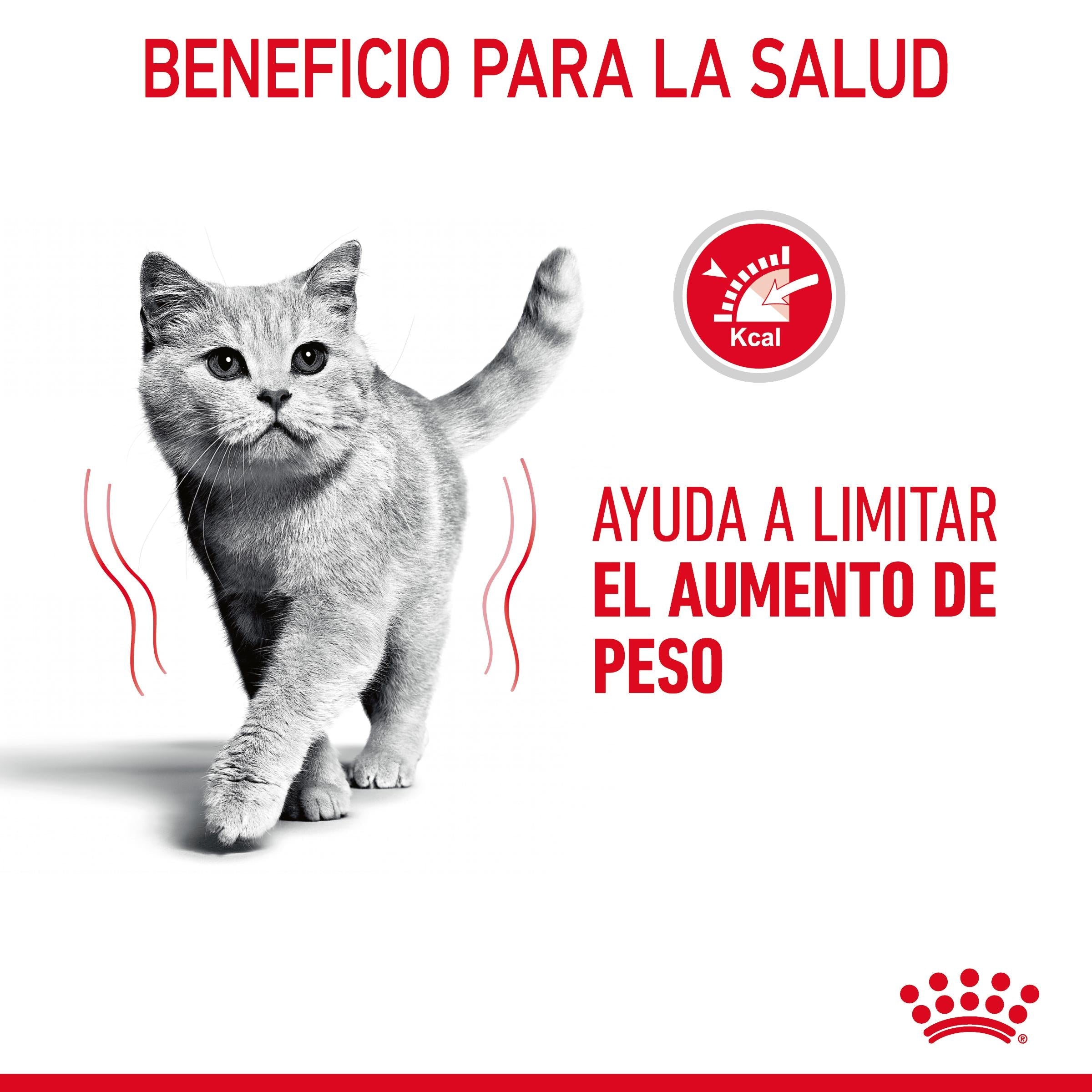 Royal Canin Light Weight Care Pienso para Gatos al mejor precio -todoastorenimal.com
