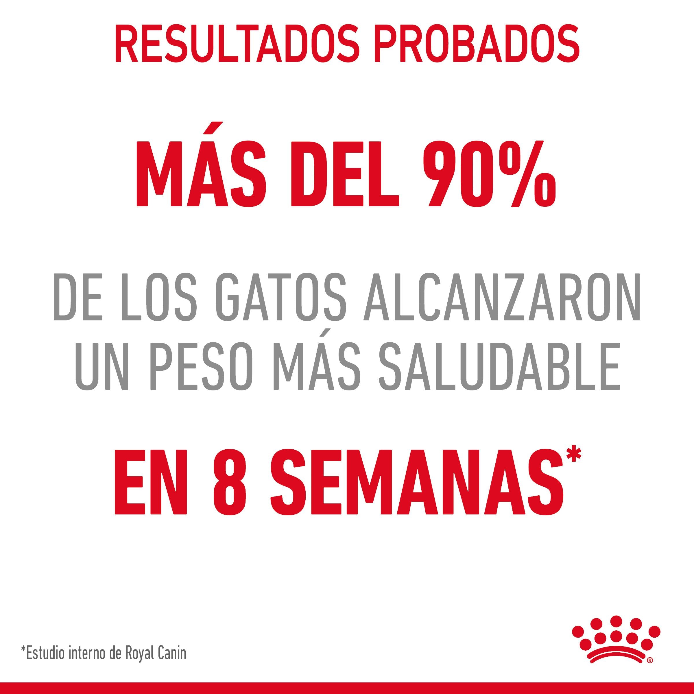 Royal Canin Light Weight Care Pienso para Gatos al mejor precio -todoastorenimal.com