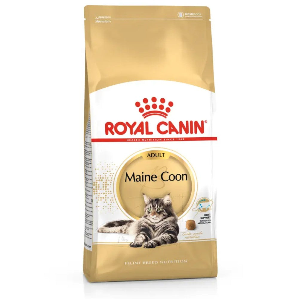 Royal Canin Maine Coon 31 Pienso para Gatos Adultos al mejor precio -todoastorenimal.com