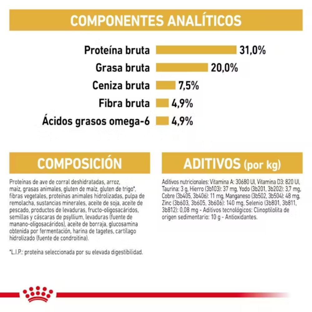 Royal Canin Maine Coon 31 Pienso para Gatos Adultos al mejor precio -todoastorenimal.com