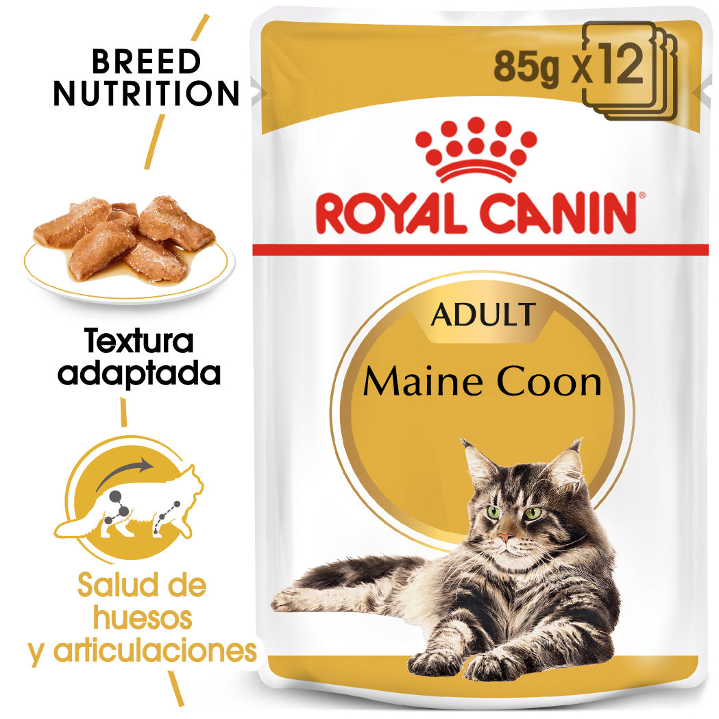 Royal Canin Maine Coon Wet 85 g Paté Húmedo para Gatos al mejor precio -todoastorenimal.com