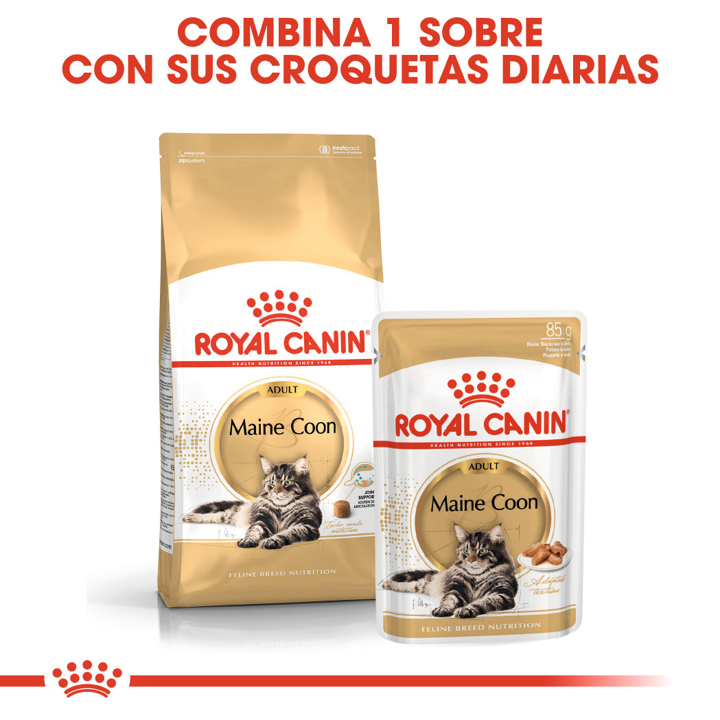 Royal Canin Maine Coon Wet 85 g Paté Húmedo para Gatos al mejor precio -todoastorenimal.com
