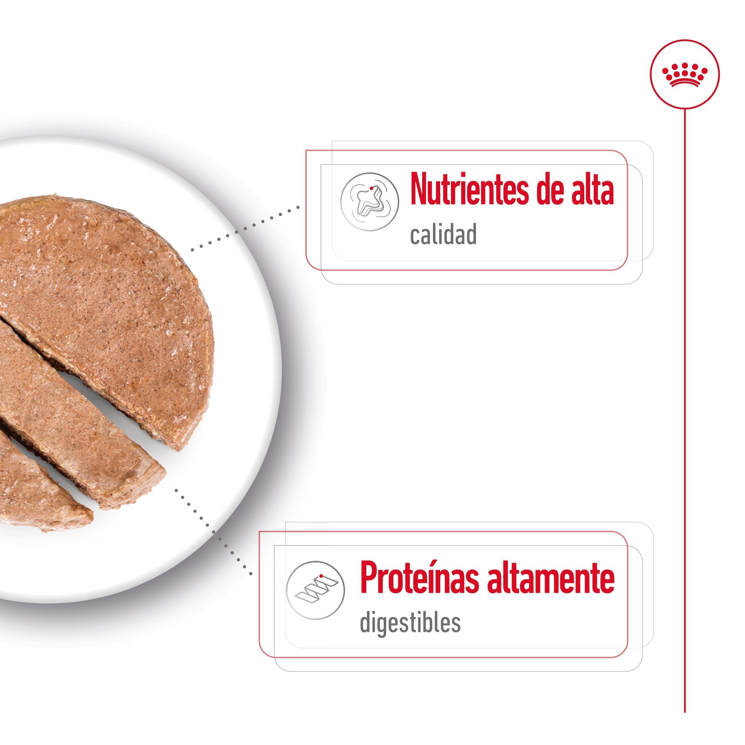 Royal Canin Maxi Adult Lata 410 g Paté Húmedo para Perros al mejor precio -todoastorenimal.com