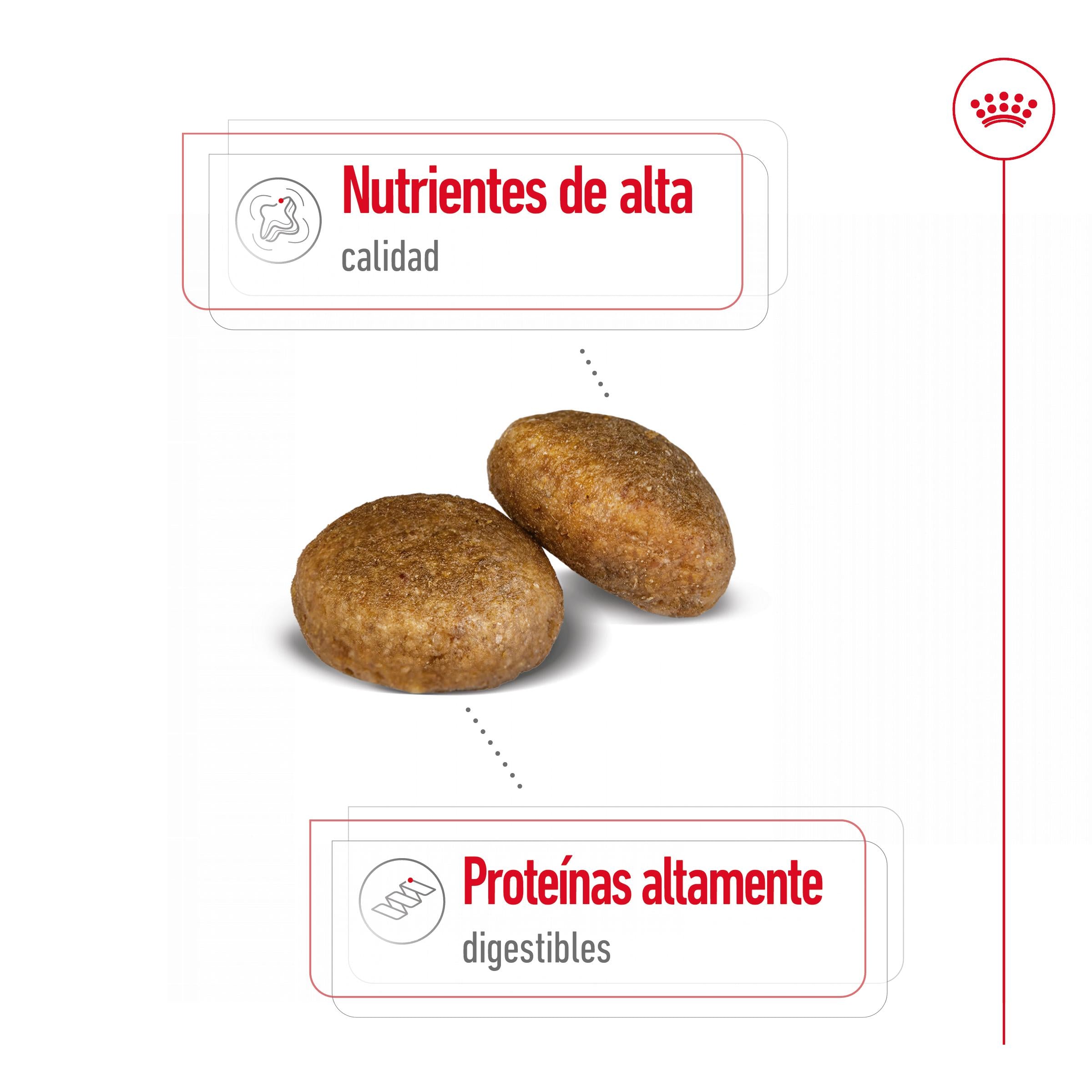 Royal Canin Maxi Adult Pienso para Perros al mejor precio -todoastorenimal.com