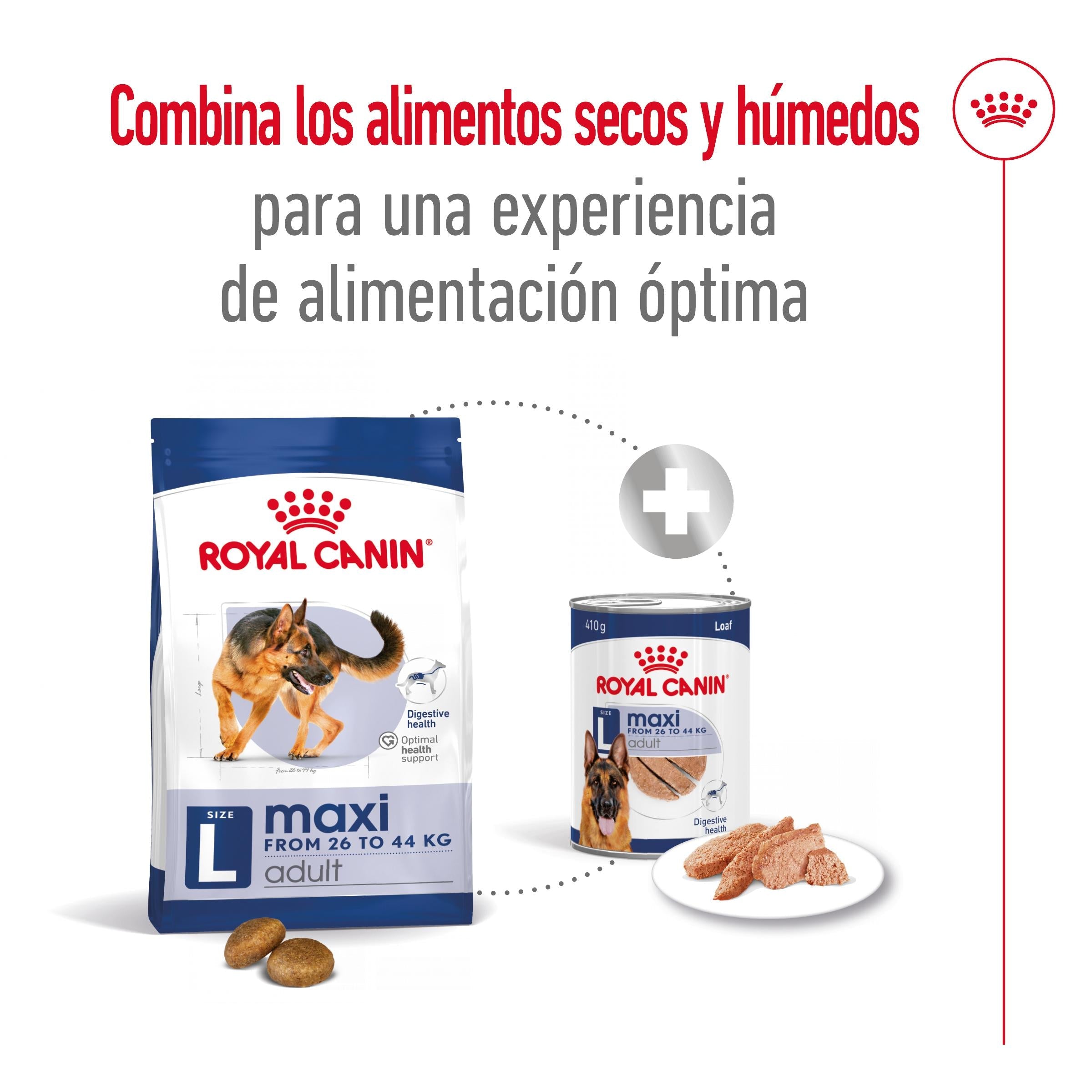 Royal Canin Maxi Adult Pienso para Perros al mejor precio -todoastorenimal.com
