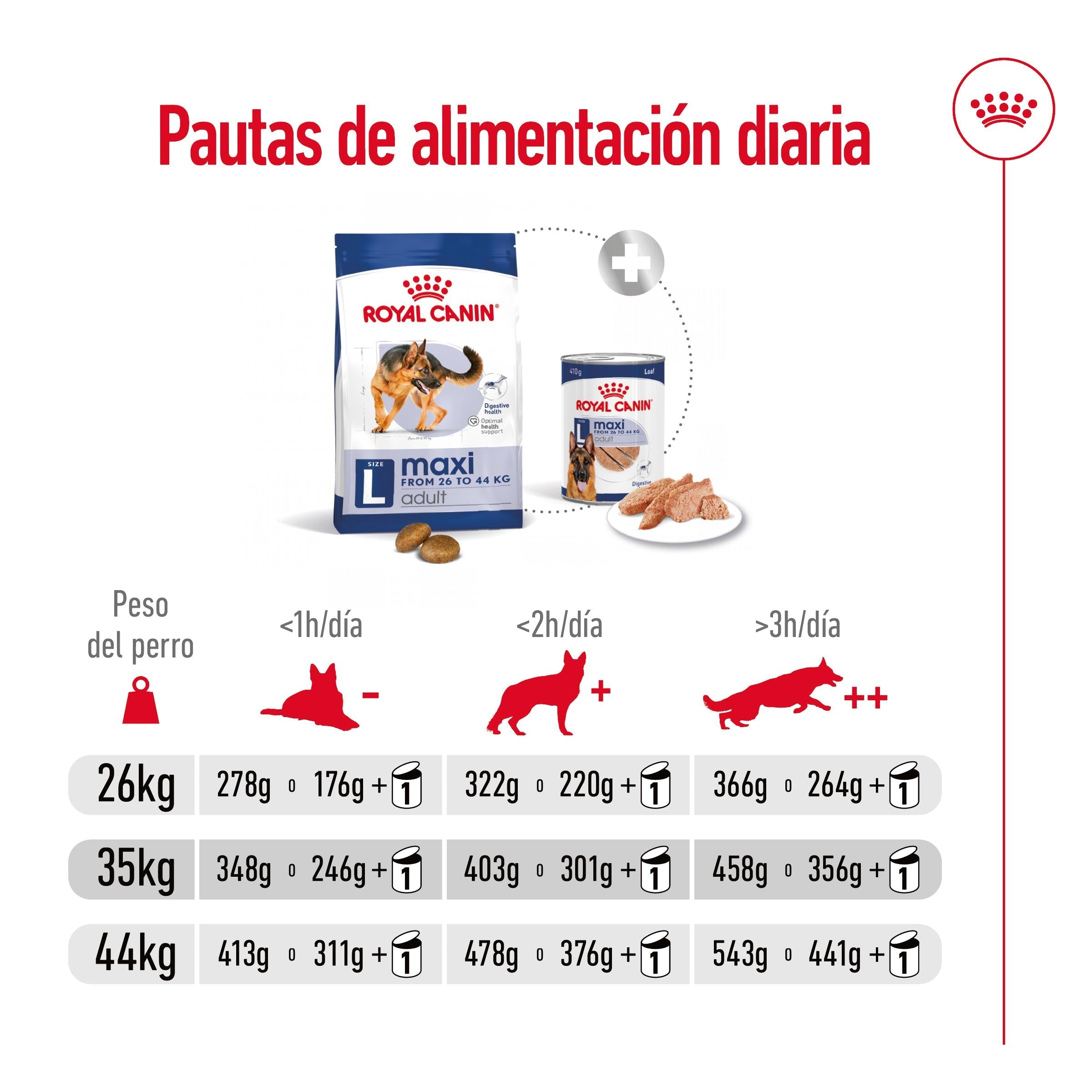 Royal Canin Maxi Adult Pienso para Perros al mejor precio -todoastorenimal.com