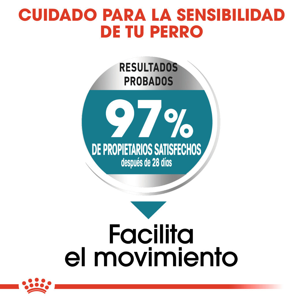 Royal Canin Maxi Joint Care Pienso para Perros al mejor precio -todoastorenimal.com