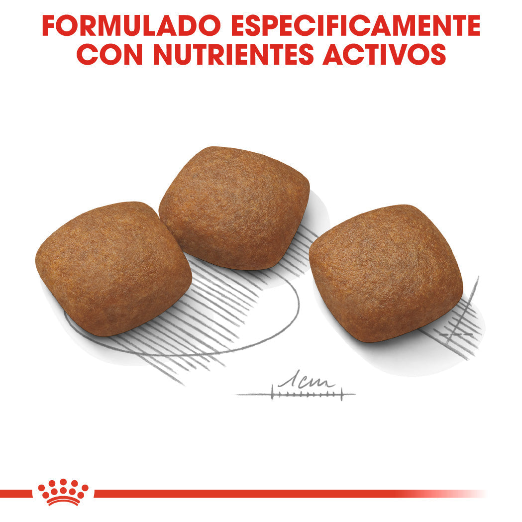 Royal Canin Maxi Joint Care Pienso para Perros al mejor precio -todoastorenimal.com