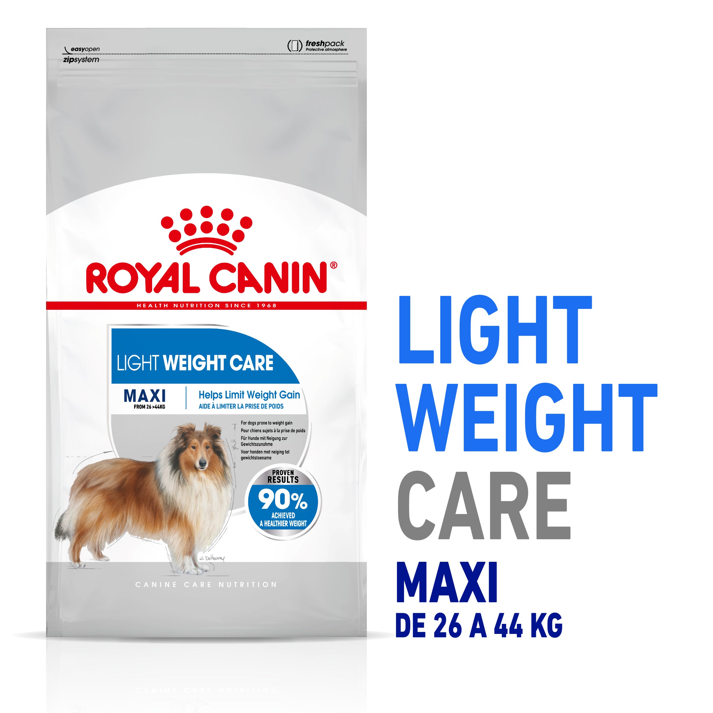 Royal Canin Maxi Light Weight Care Pienso para Perros al mejor precio -todoastorenimal.com