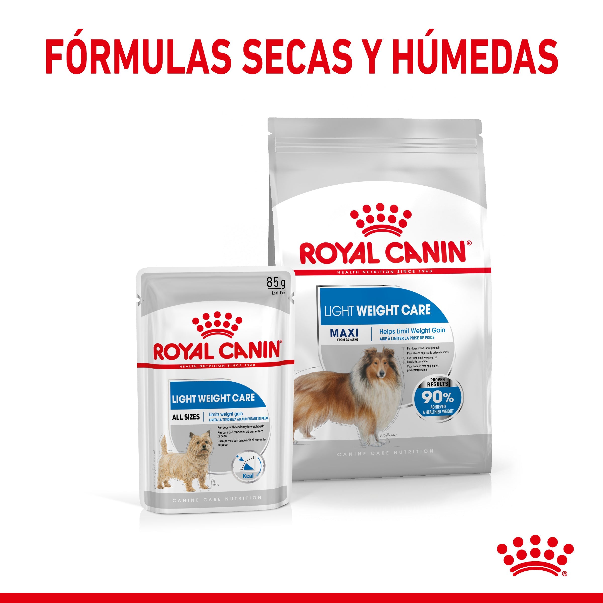 Royal Canin Maxi Light Weight Care Pienso para Perros al mejor precio -todoastorenimal.com